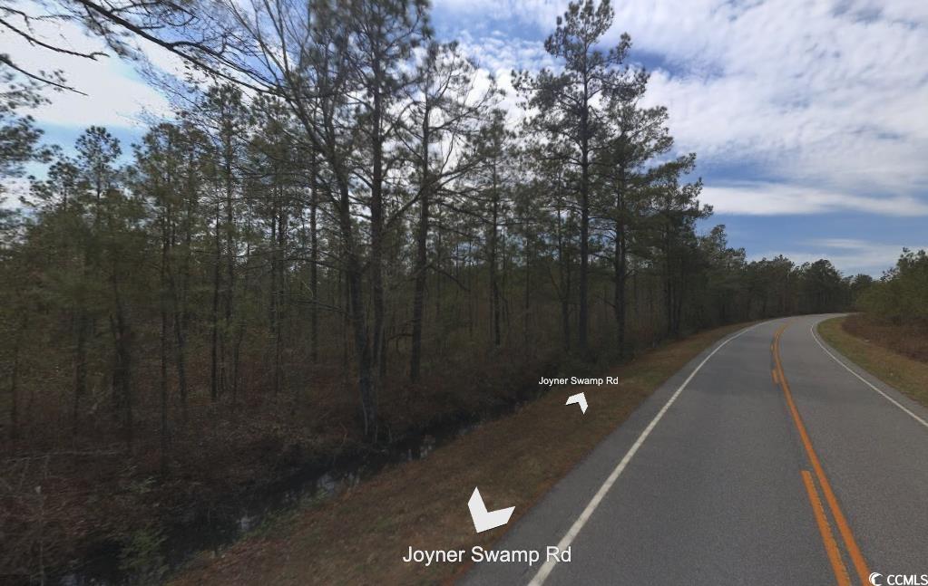 TBD Joyner Swamp Rd., Galivants Ferry, South Carolina image 2