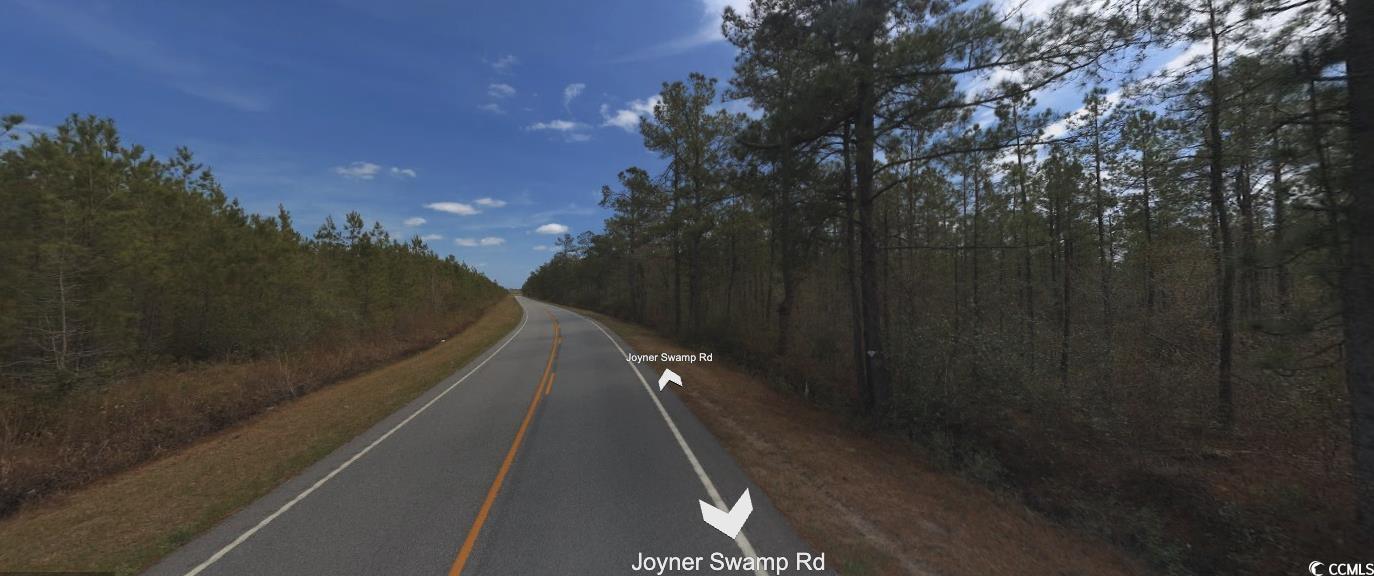 TBD Joyner Swamp Rd., Galivants Ferry, South Carolina image 3