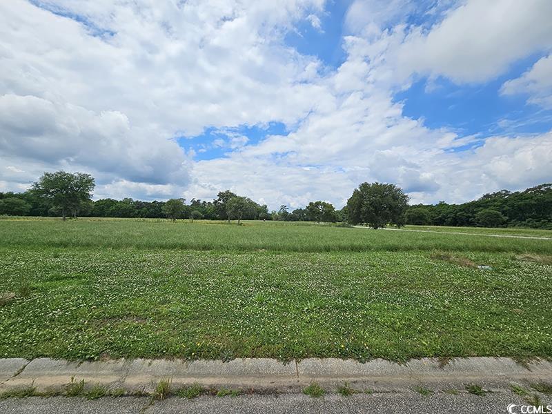 Cravens Grant - Georgetown in Georgetown | Land $29,900 MLS 