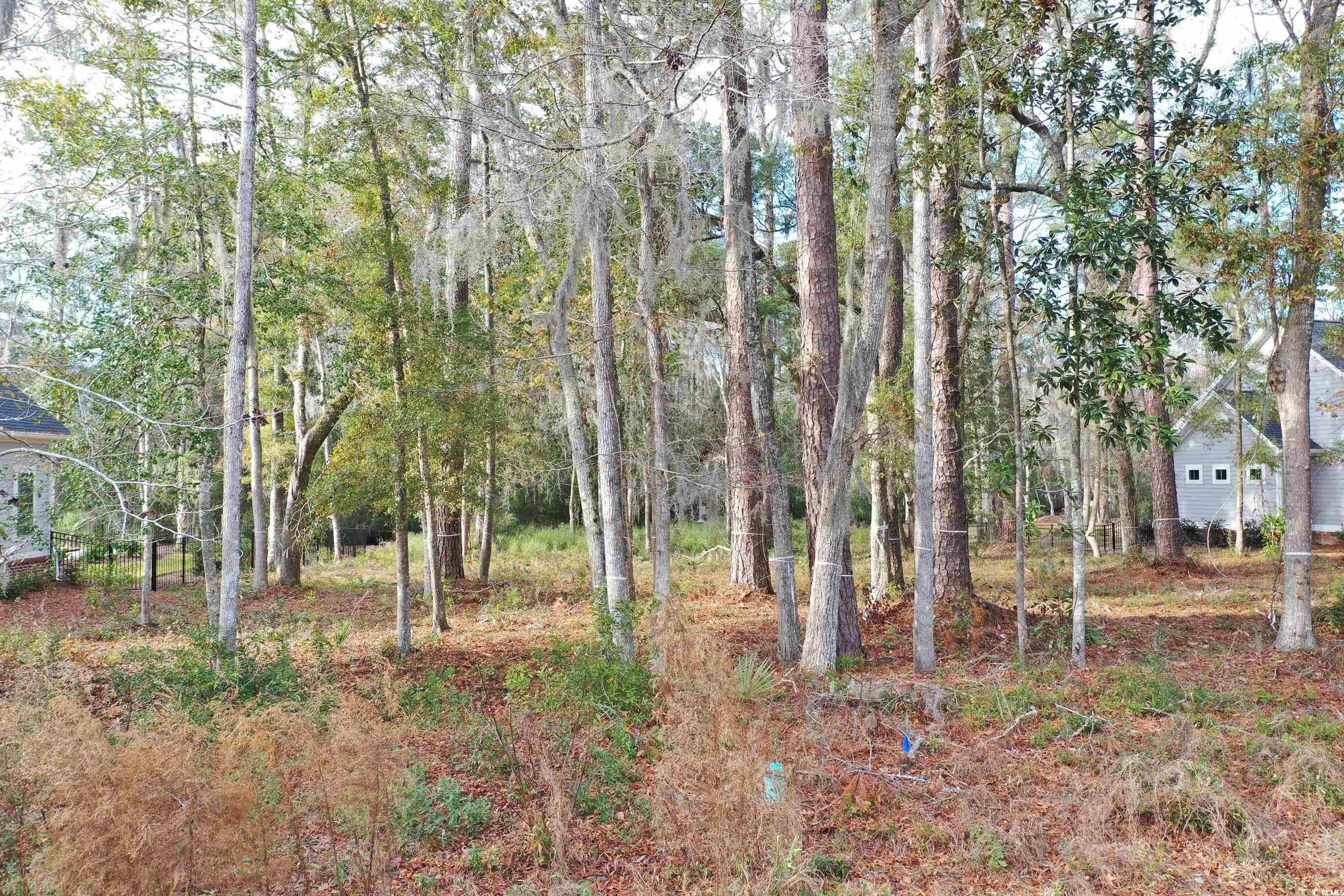 Lot 4 Tuckers Rd. Pawleys Island, SC 29585