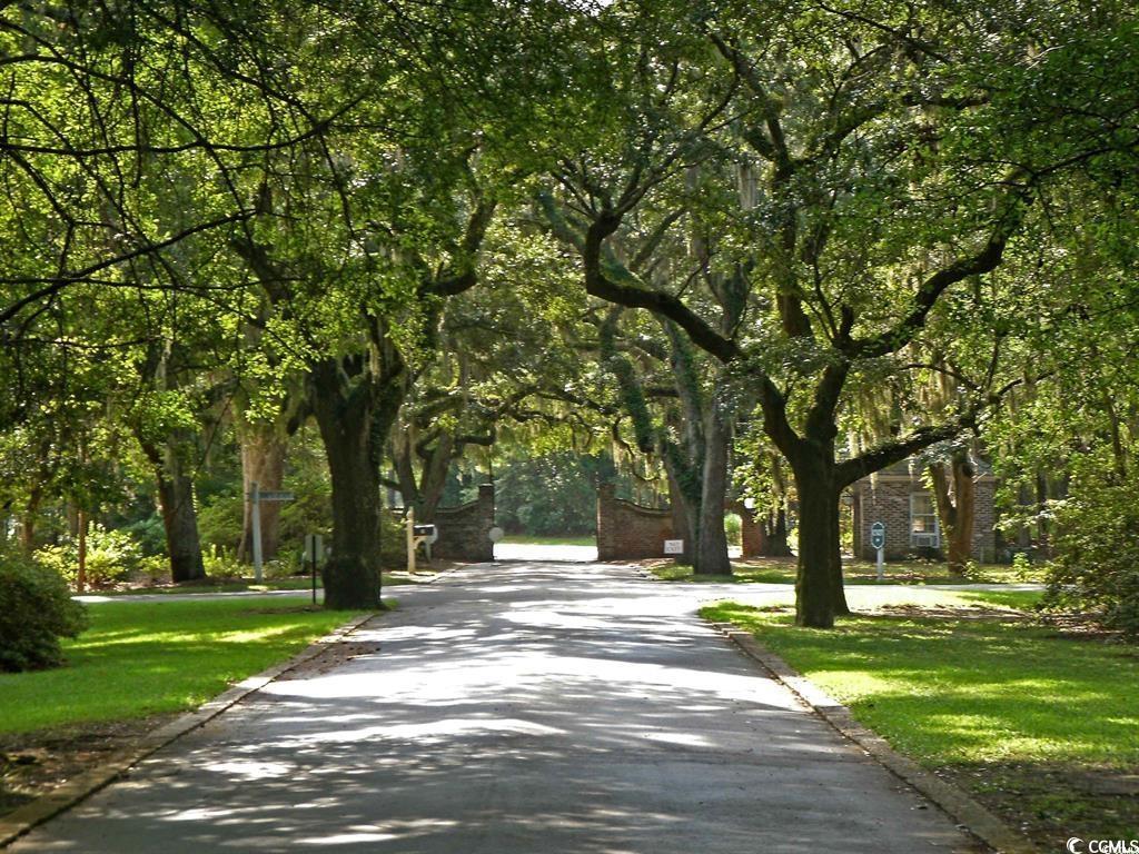 Lot 4 Tuckers Rd., Pawleys Island, South Carolina image 6