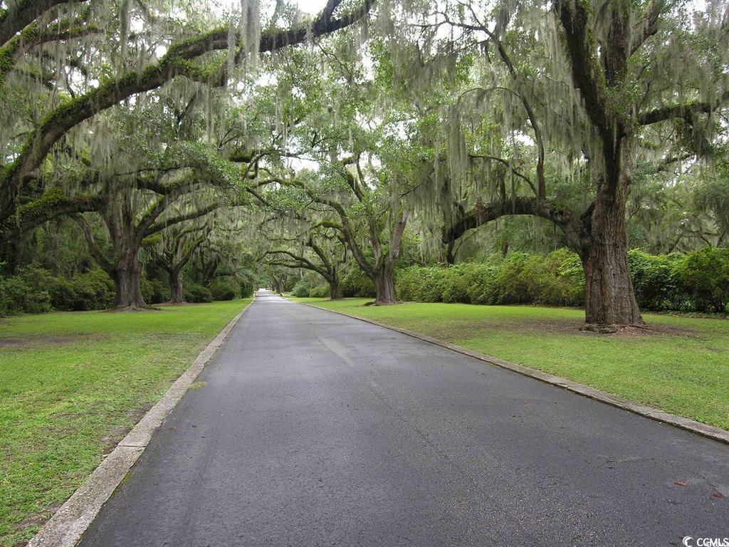 Lot 4 Tuckers Rd., Pawleys Island, South Carolina image 7