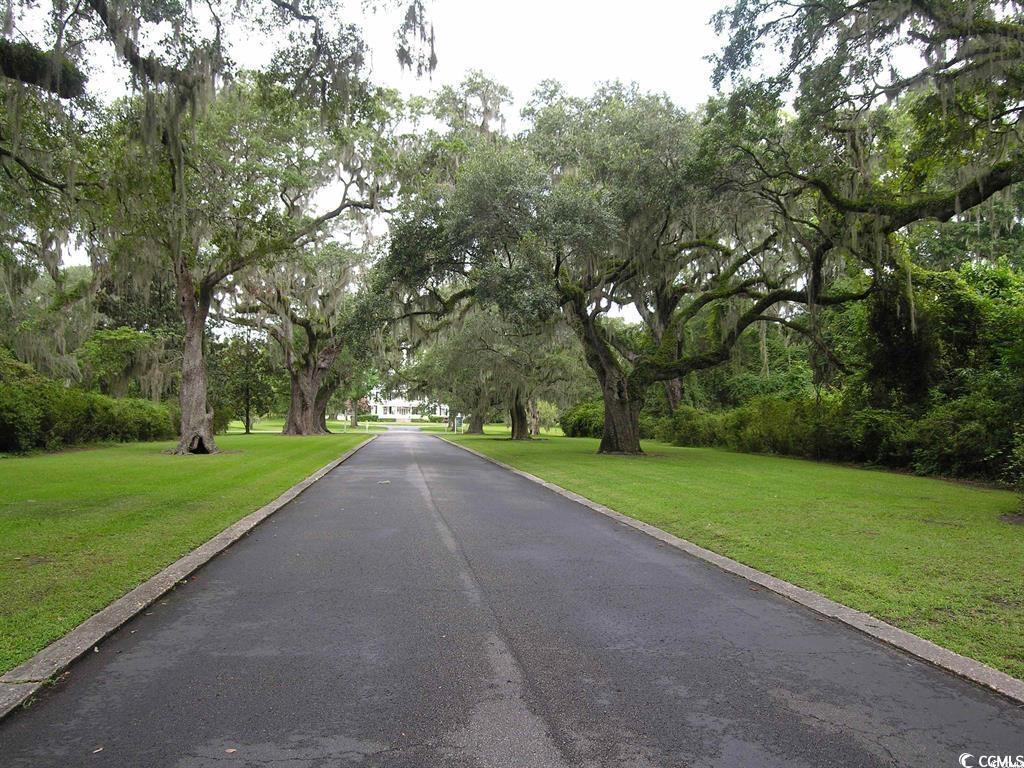 Lot 4 Tuckers Rd., Pawleys Island, South Carolina image 8