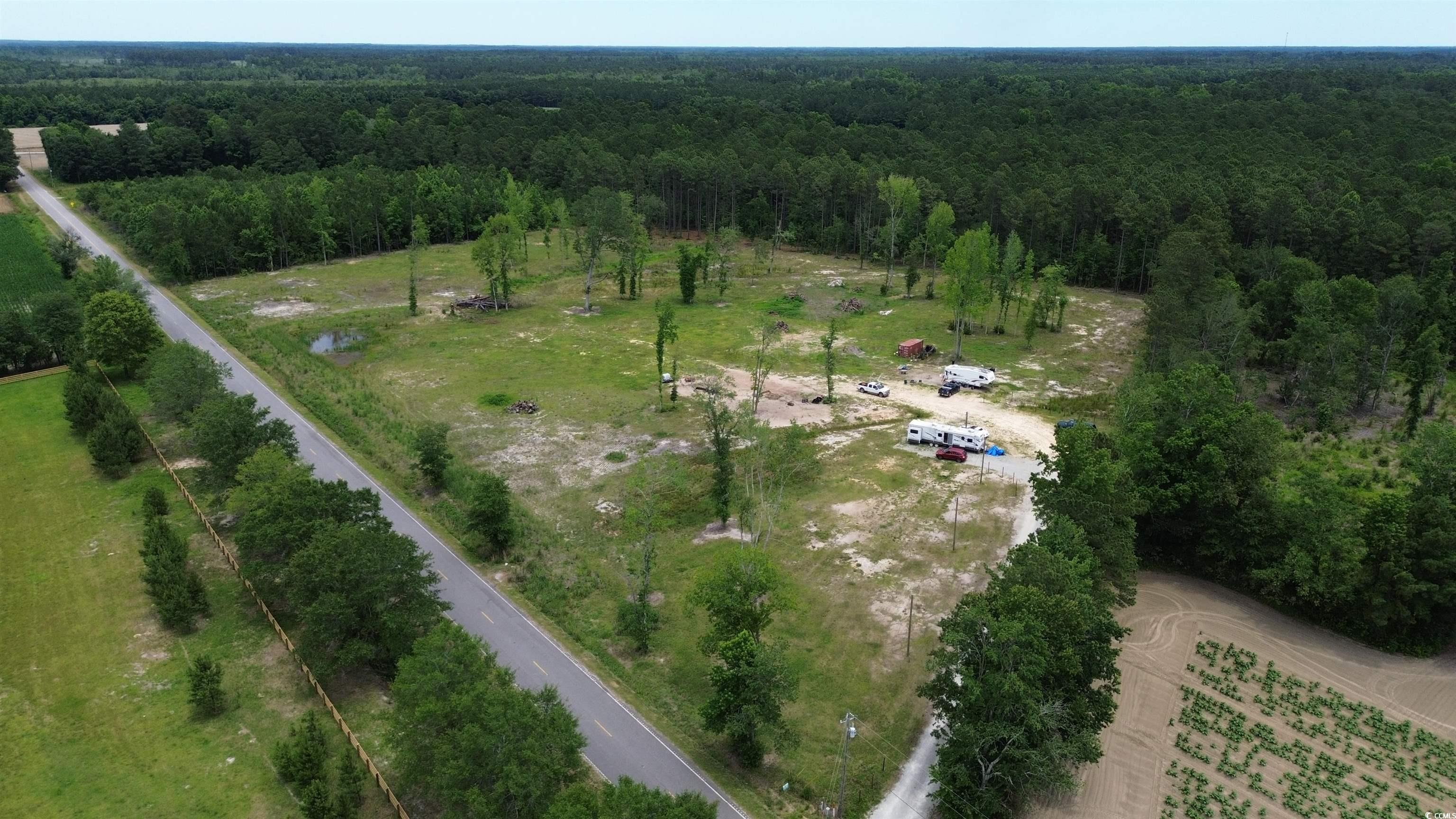 TBD Mount Olive Church Rd., Green Sea, South Carolina image 3