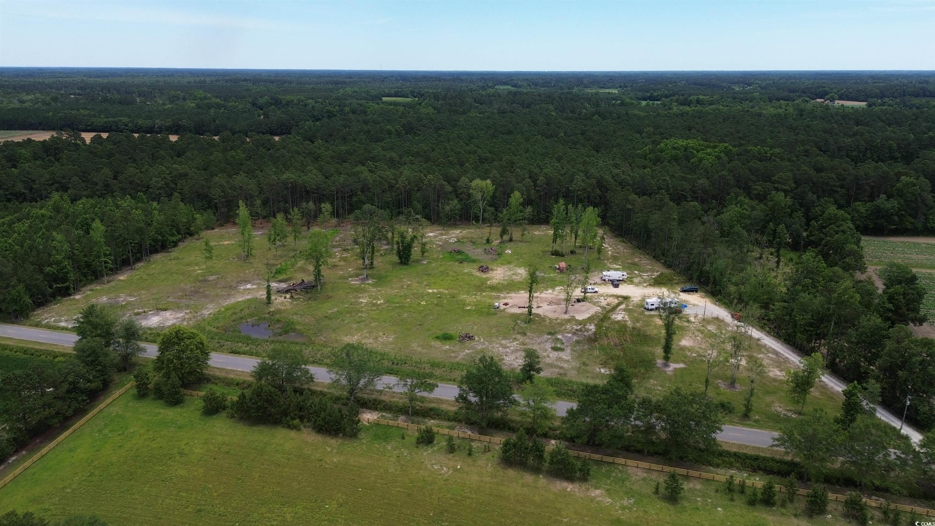 TBD Mount Olive Church Rd., Green Sea, South Carolina image 4