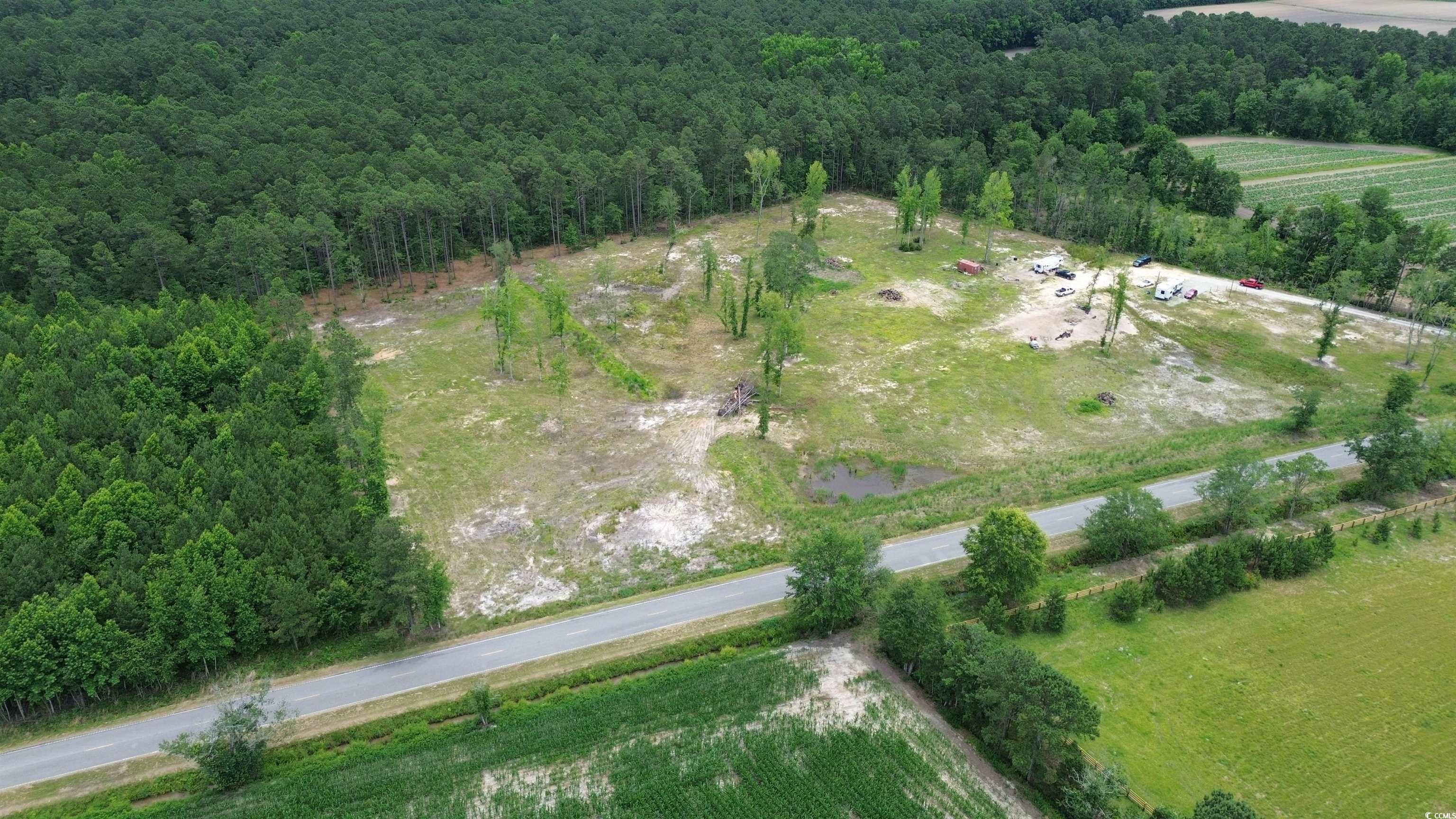 TBD Mount Olive Church Rd., Green Sea, South Carolina image 7