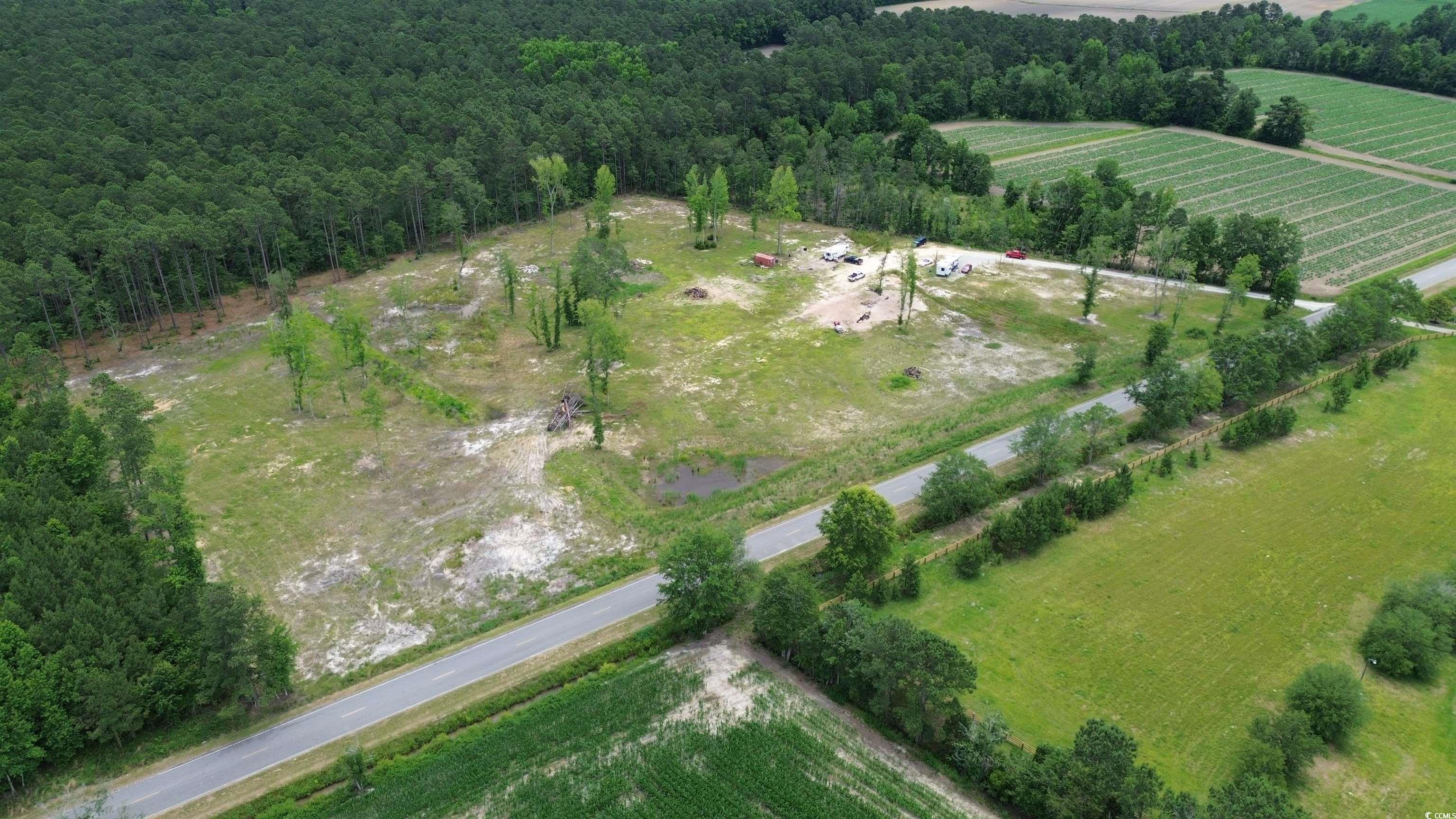 TBD Mount Olive Church Rd., Green Sea, South Carolina image 8