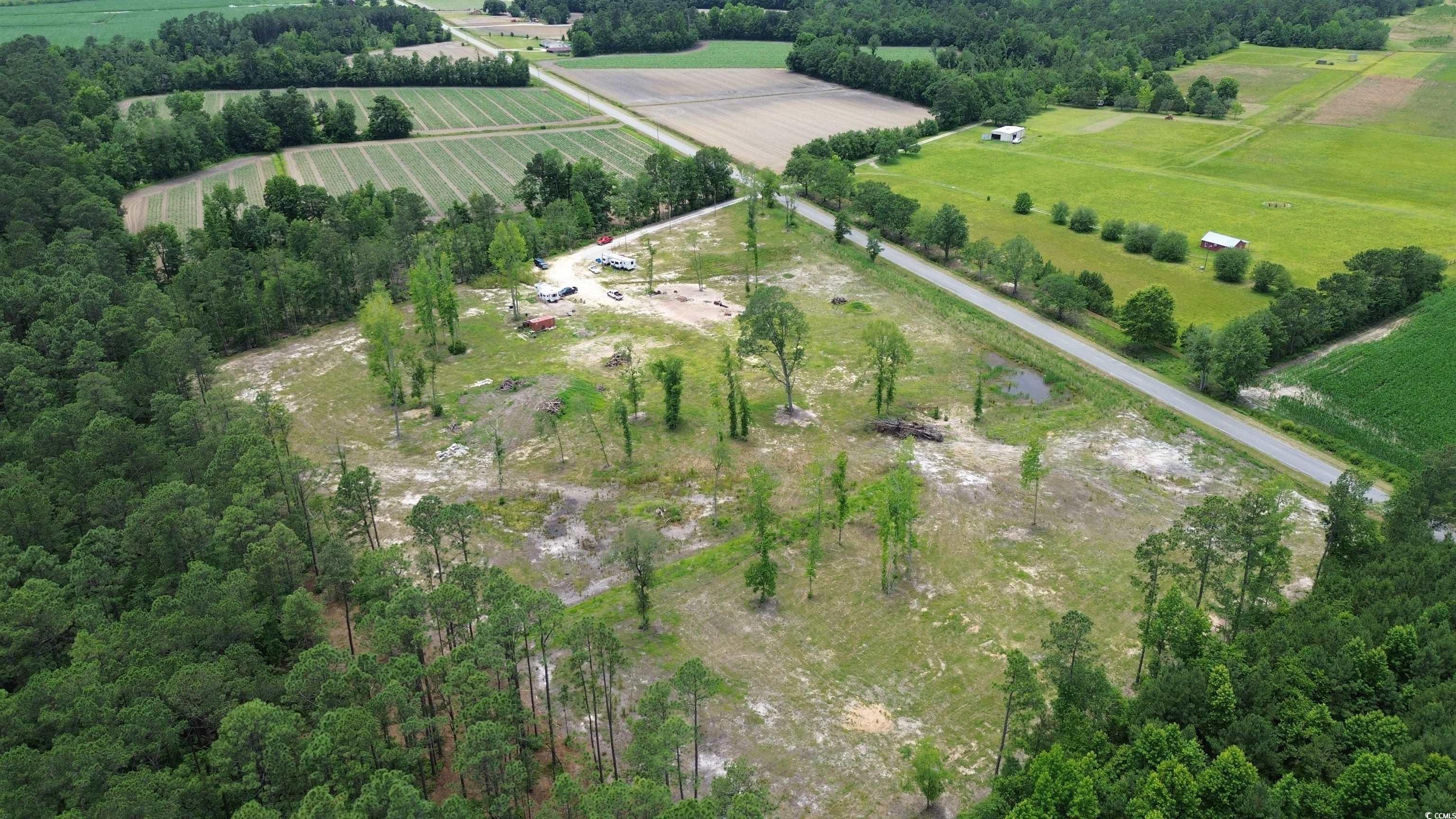 TBD Mount Olive Church Rd., Green Sea, South Carolina image 16