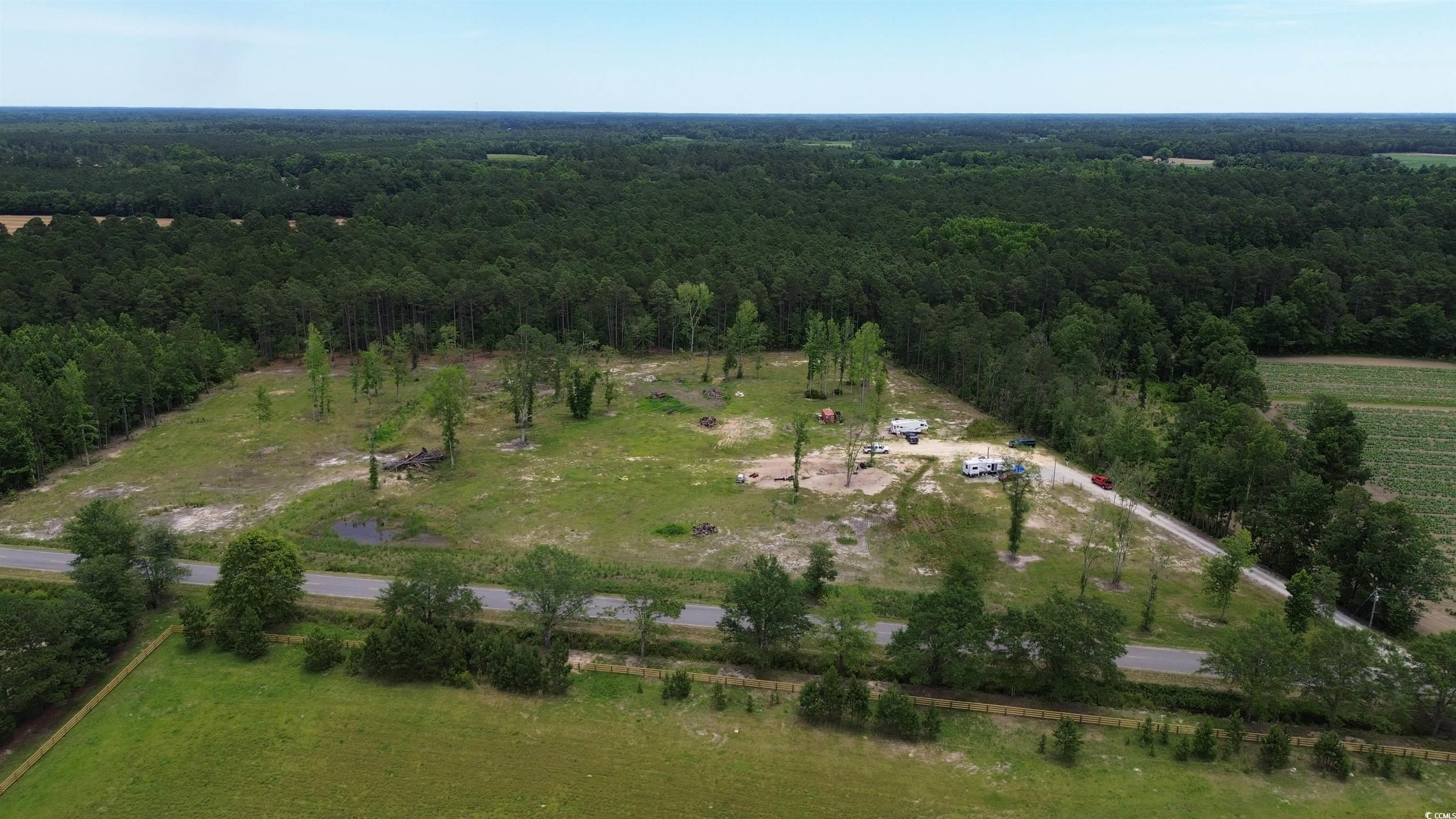 TBD Mount Olive Church Rd., Green Sea, South Carolina image 8