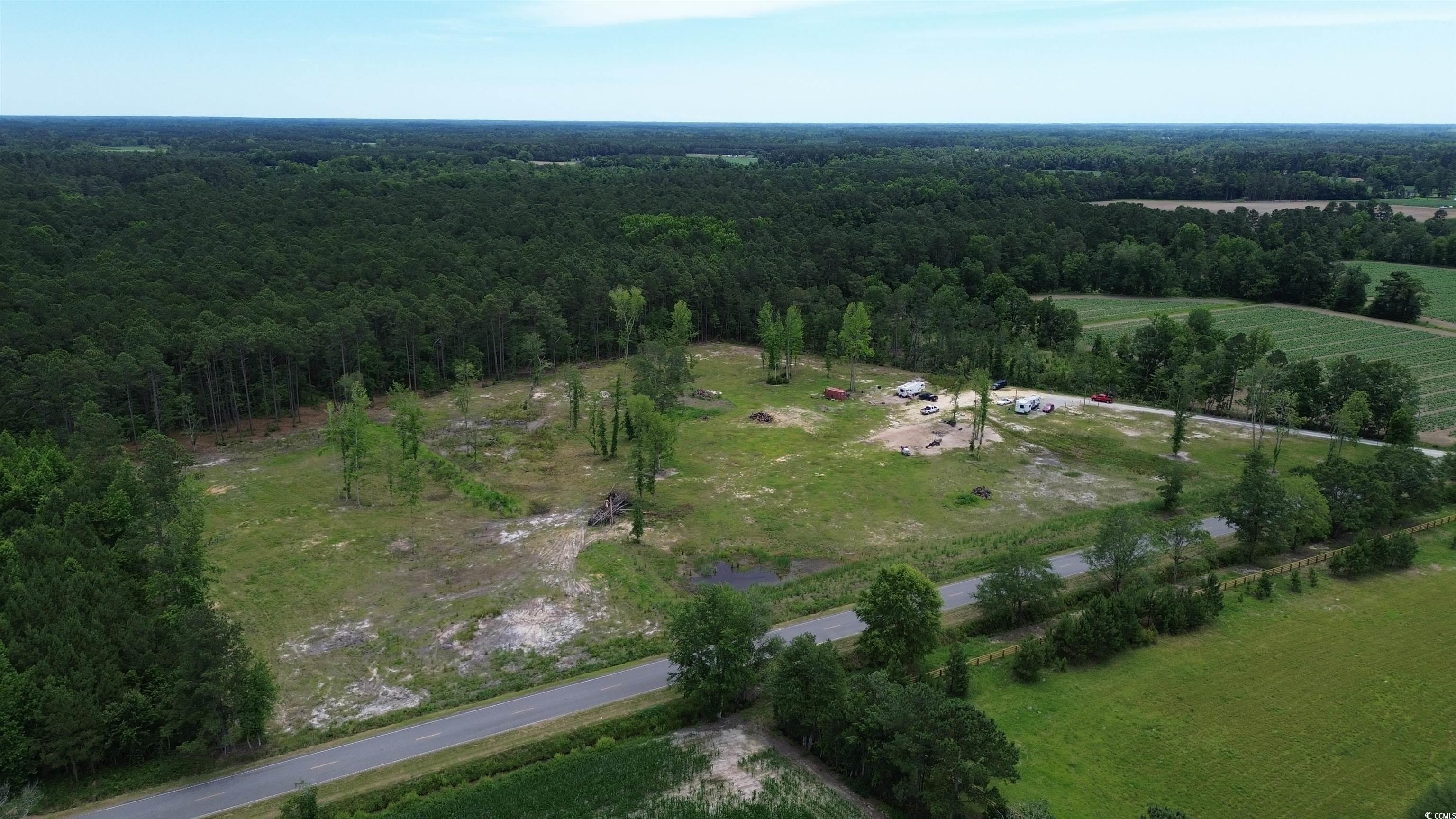 TBD Mount Olive Church Rd., Green Sea, South Carolina image 9