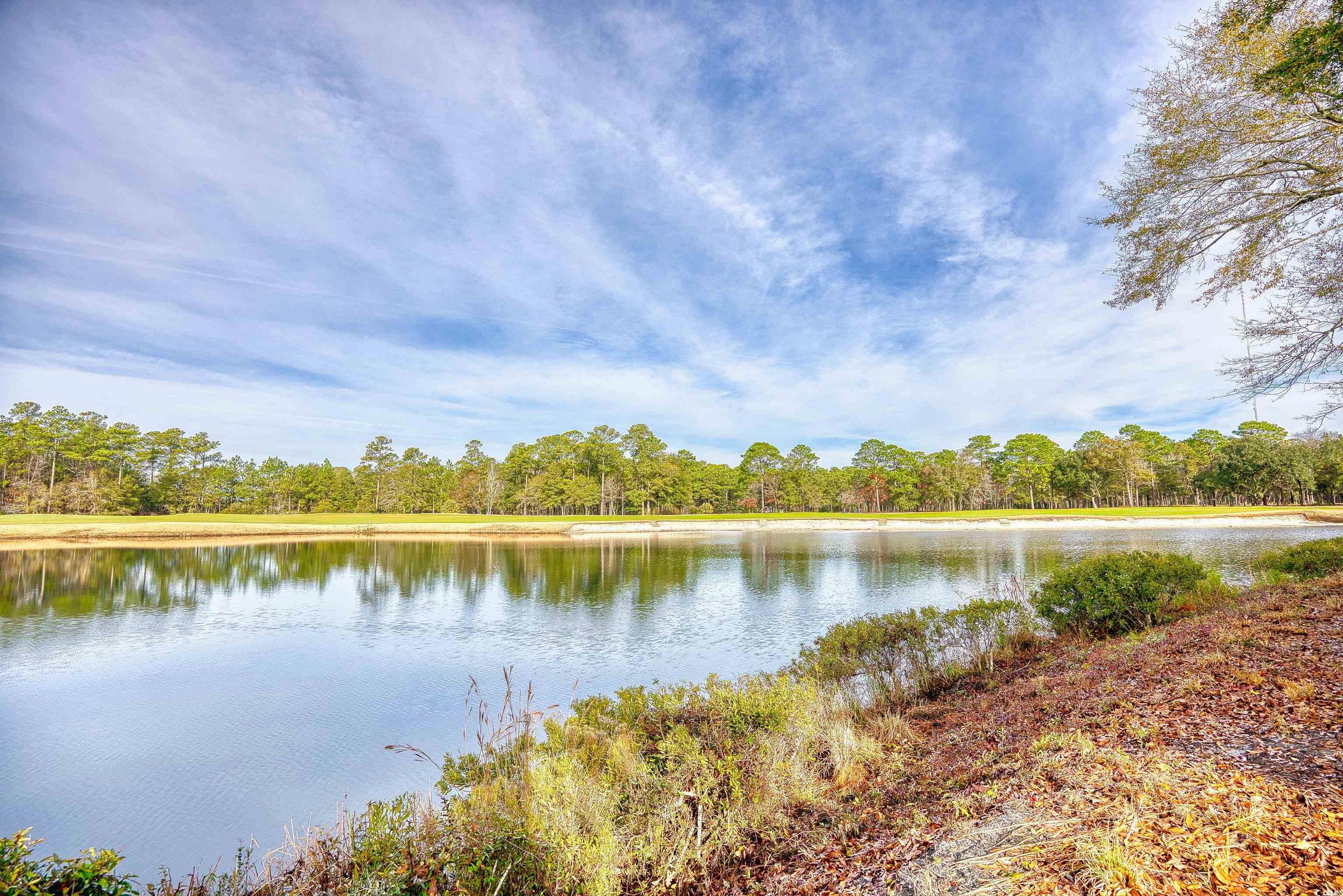 400 Blue Stem Dr. #60-E, Pawleys Island, South Carolina image 34