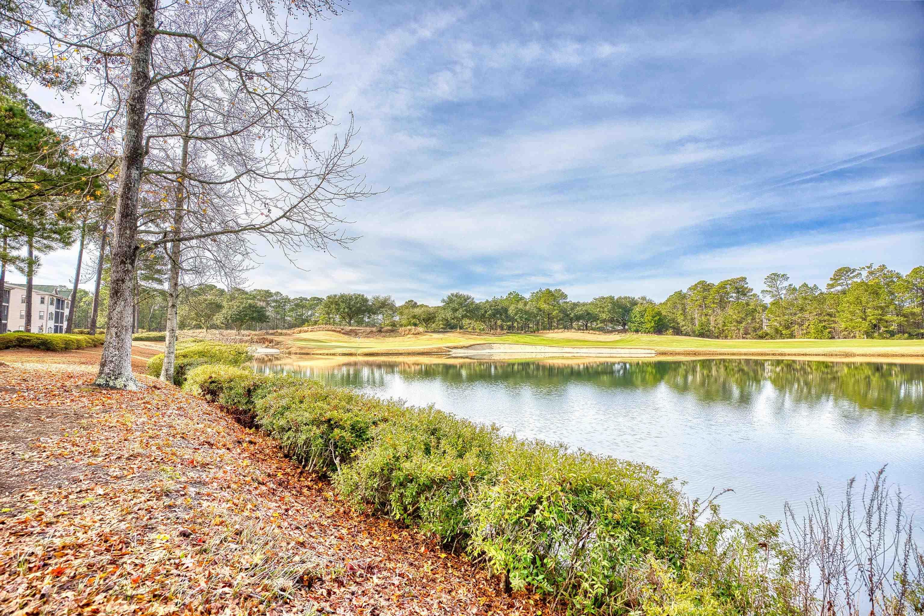 400 Blue Stem Dr. #60-E, Pawleys Island, South Carolina image 35