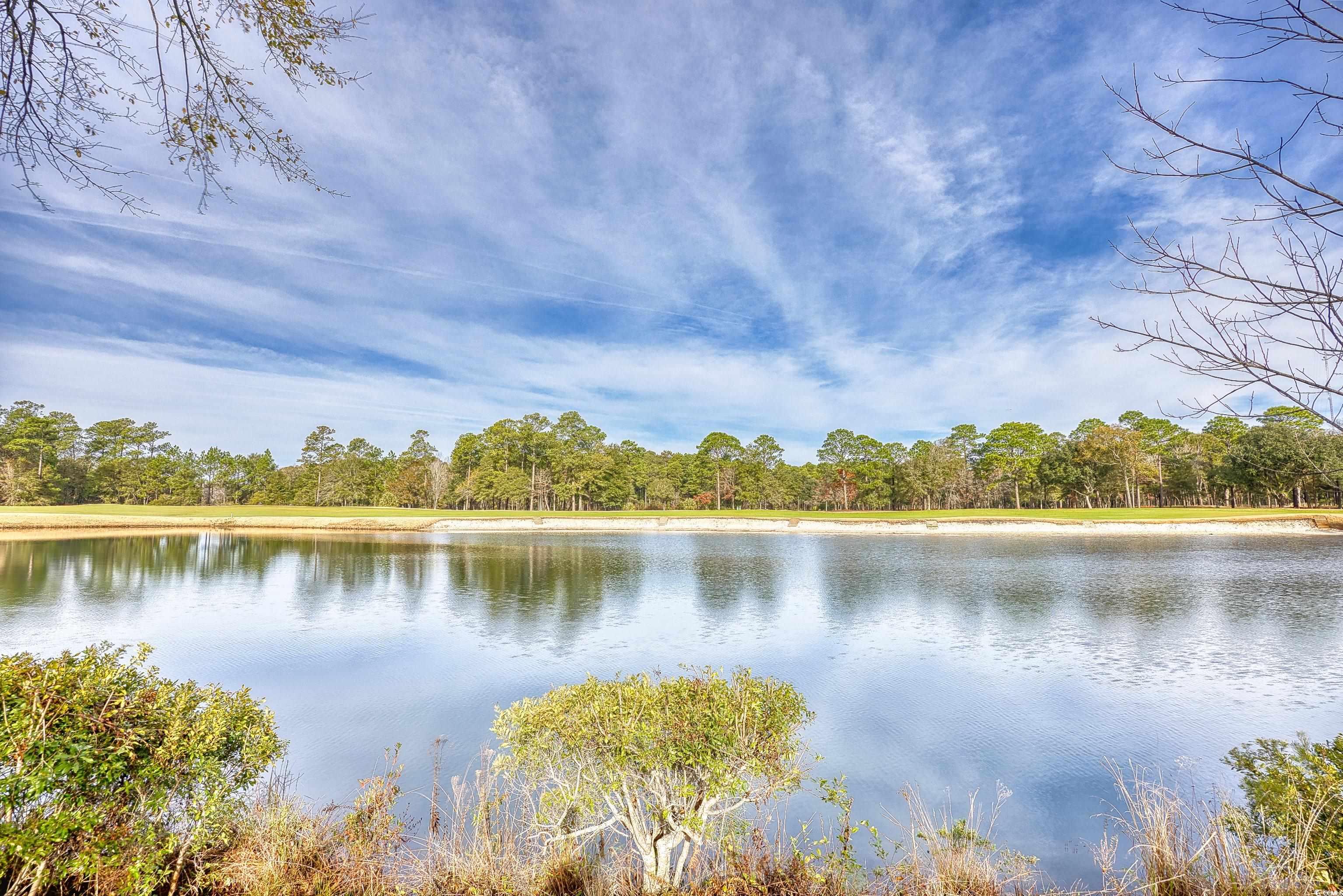 400 Blue Stem Dr. #60-E, Pawleys Island, South Carolina image 36