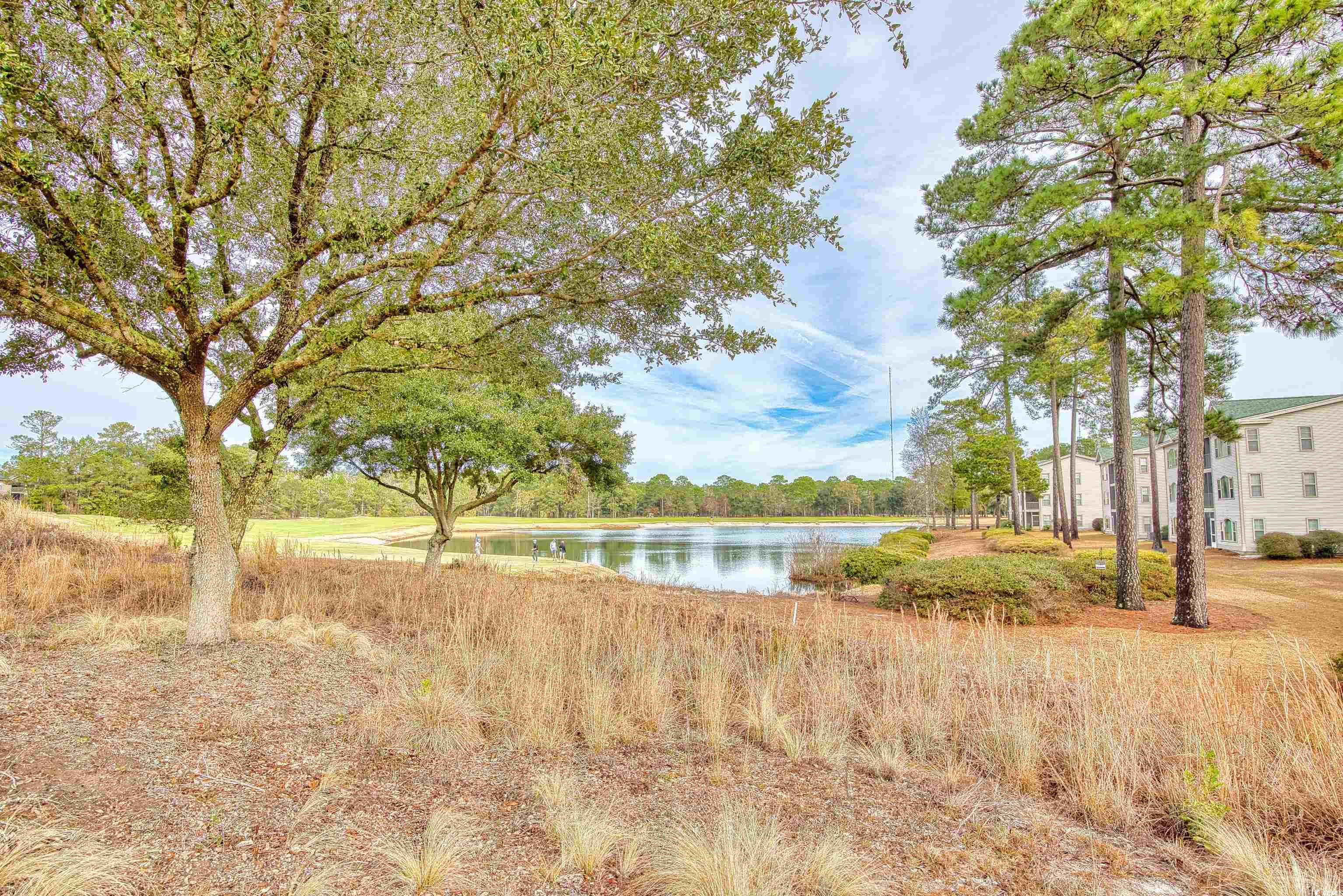 400 Blue Stem Dr. #60-E, Pawleys Island, South Carolina image 37