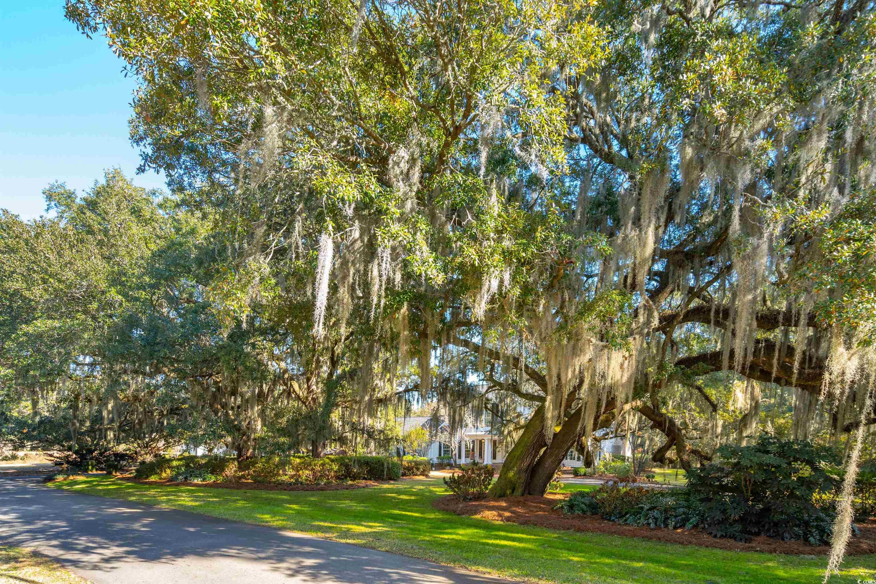 356 Rossdhu Ave., Pawleys Island, South Carolina image 3