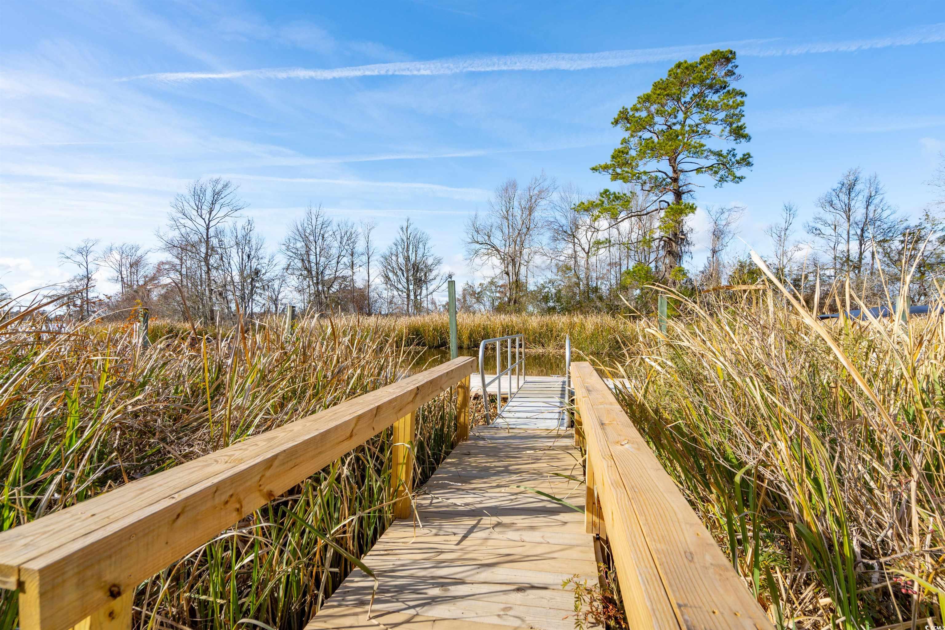 356 Rossdhu Ave., Pawleys Island, South Carolina image 35