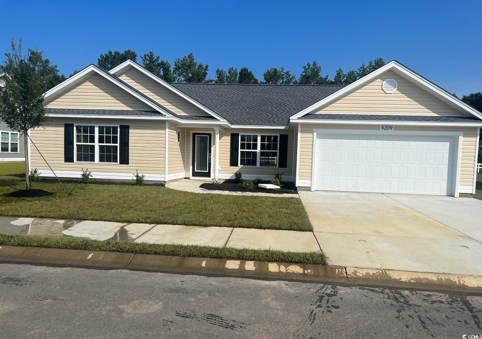 TBD20 Casey Dr., Nichols, South Carolina image 1