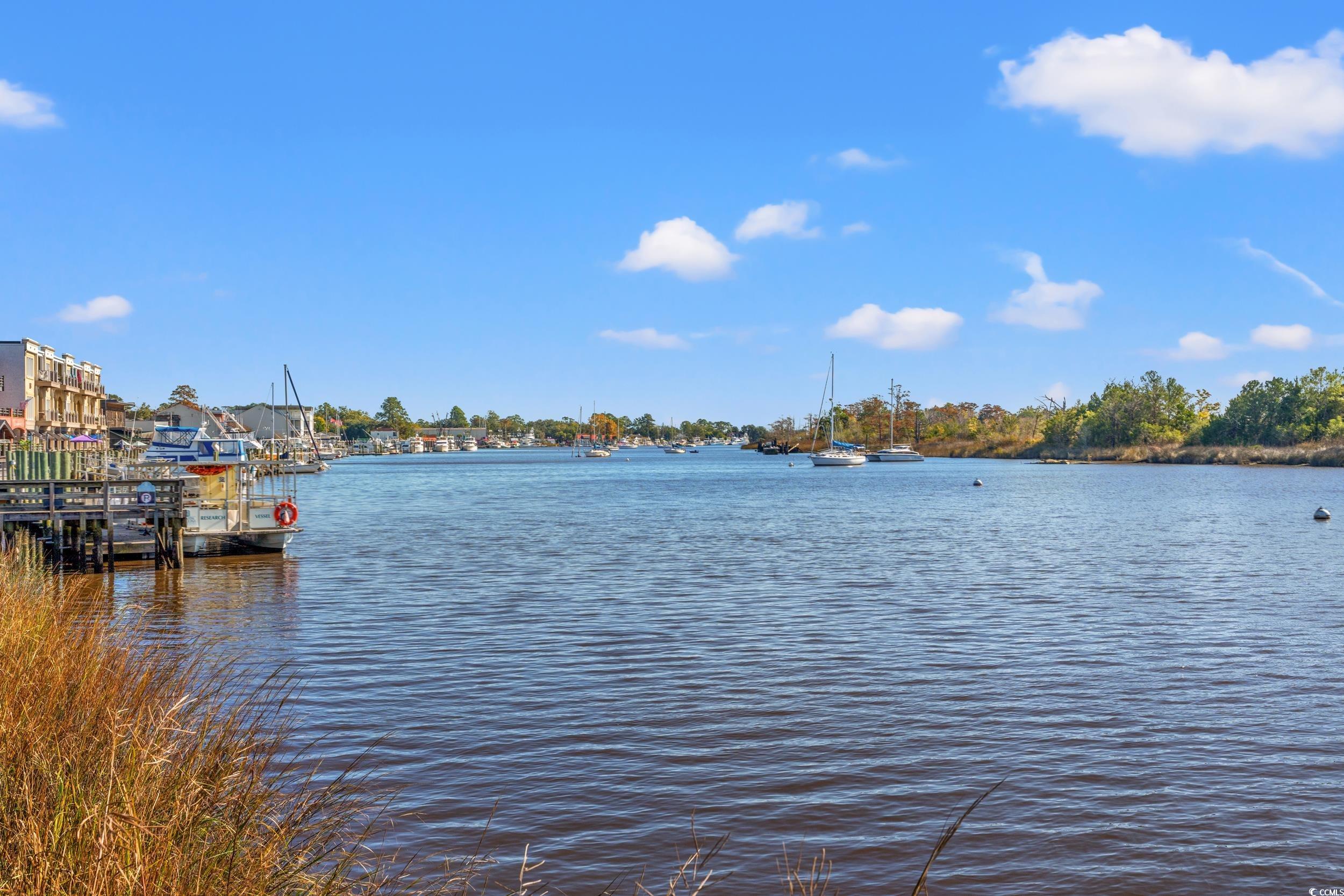 934 Francis Parker Rd., Georgetown, South Carolina image 16