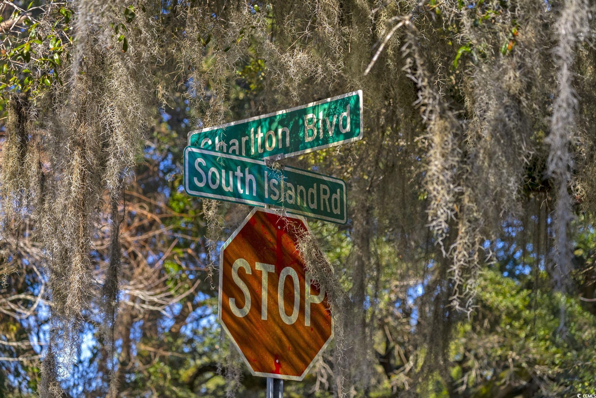 Lot 118 Seaport Circle, Georgetown, South Carolina image 10