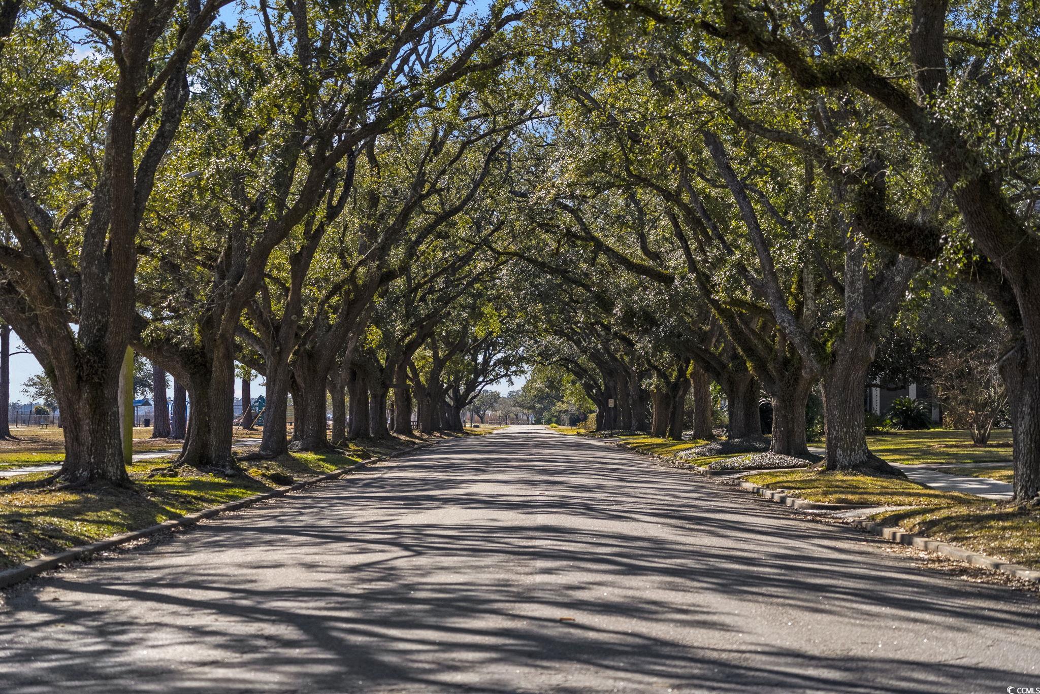 Lot 118 Seaport Circle, Georgetown, South Carolina image 28