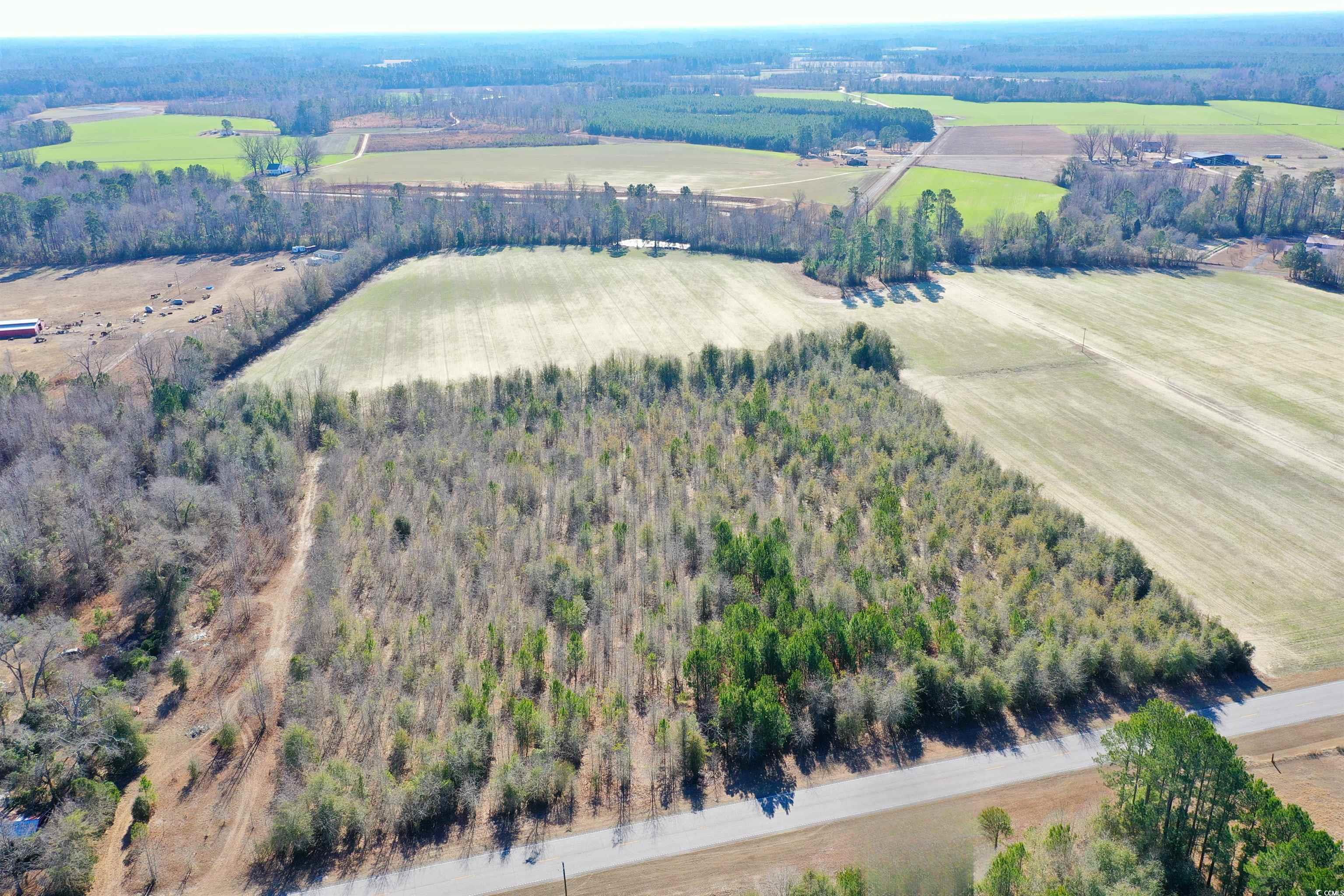 TBD Highway 76 Nichols, SC 29581