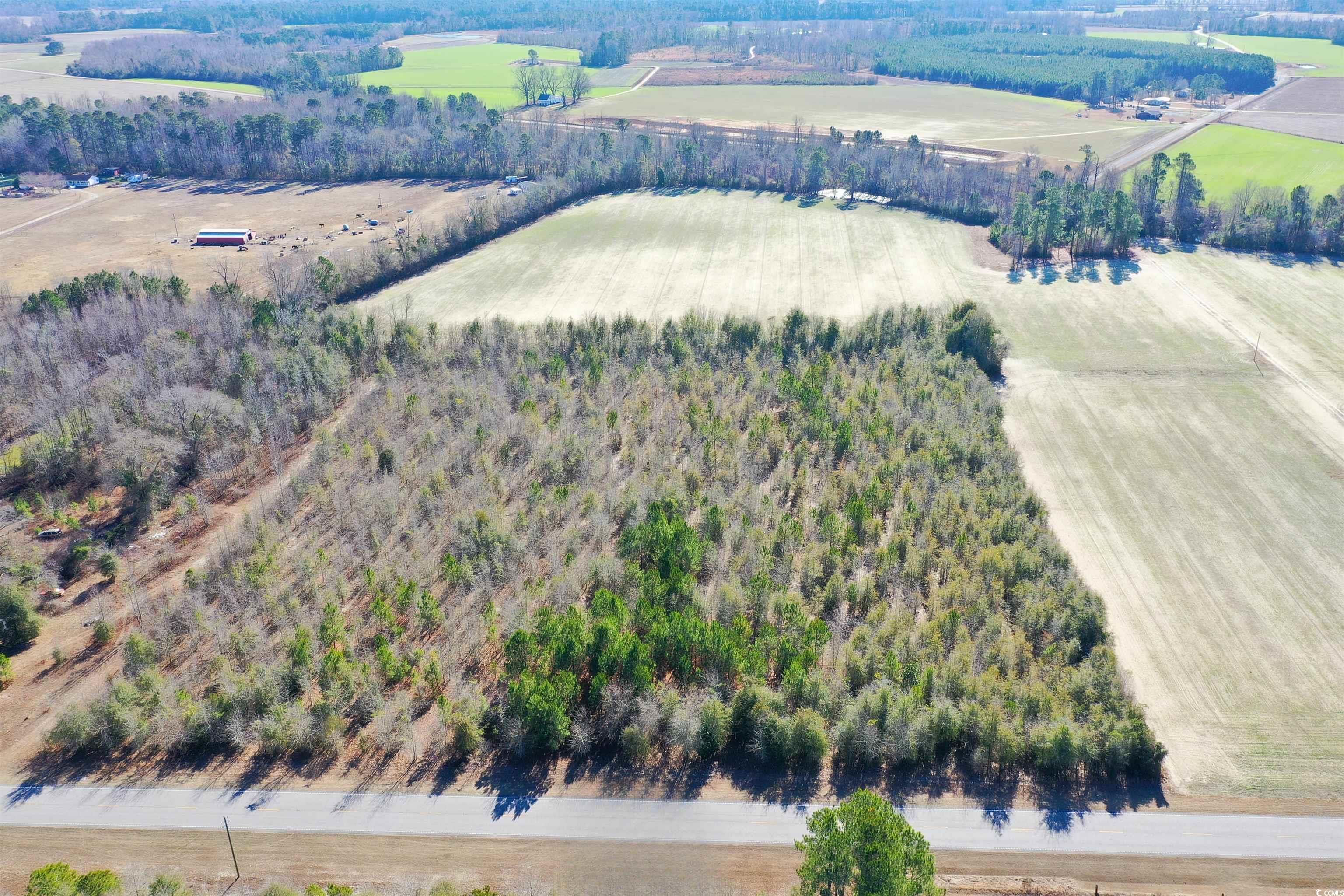 TBD Highway 76, Nichols, South Carolina image 3