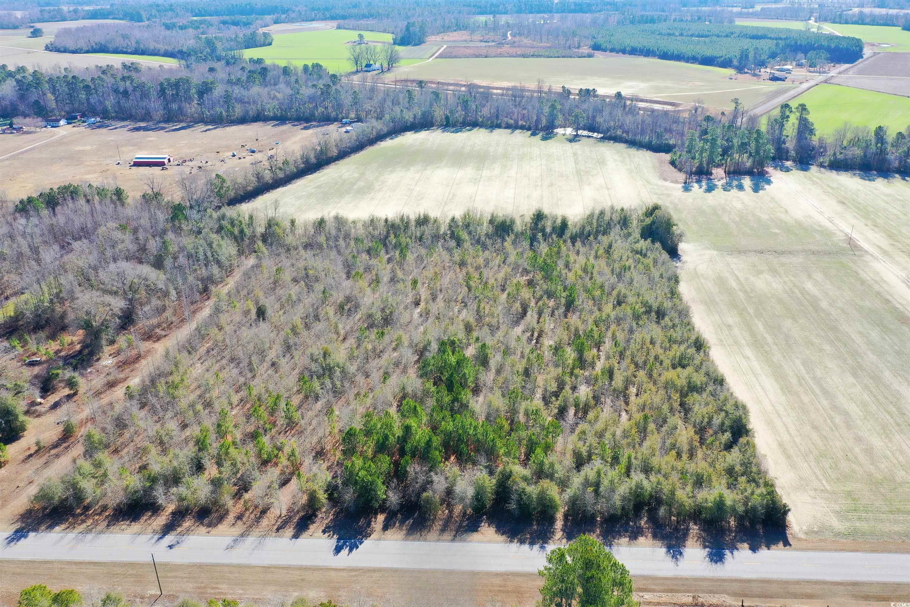 TBD Highway 76, Nichols, South Carolina image 4