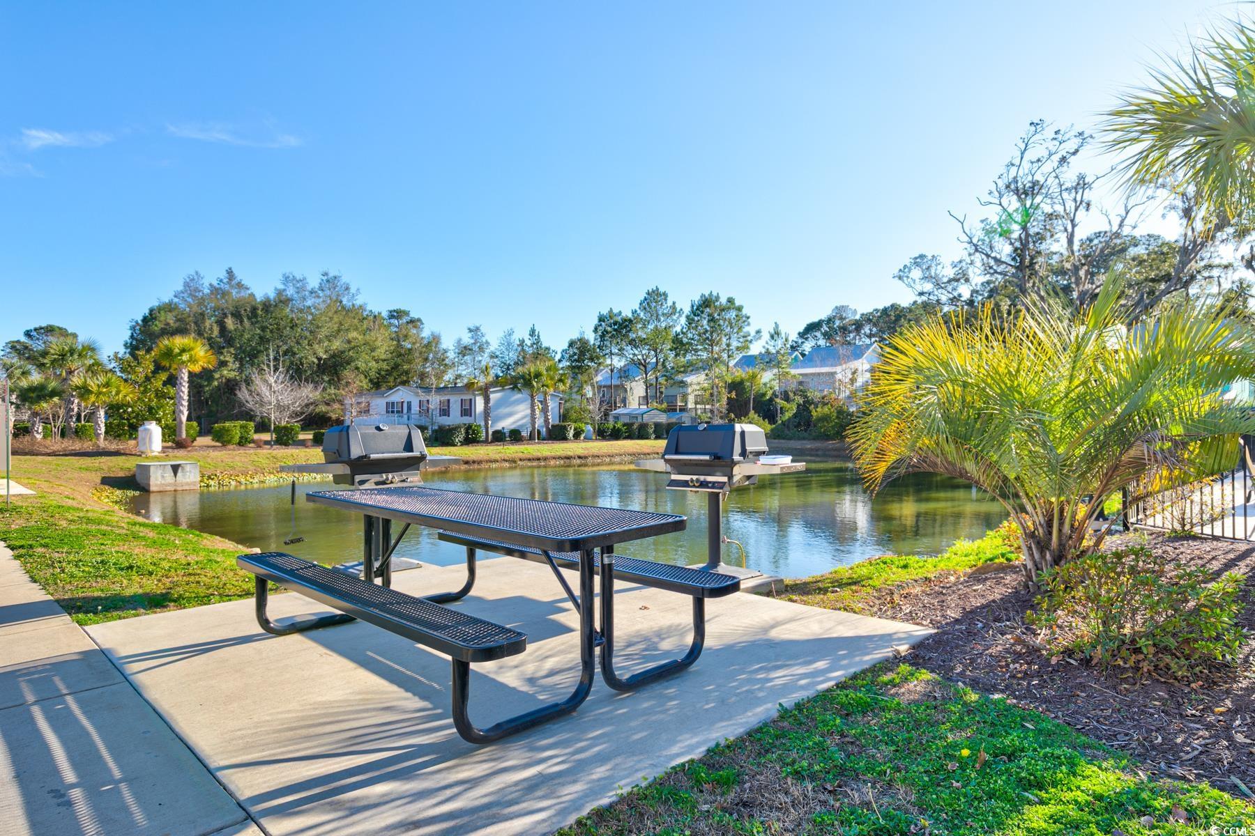 130 Puffin Dr. #2C, Pawleys Island, South Carolina image 33