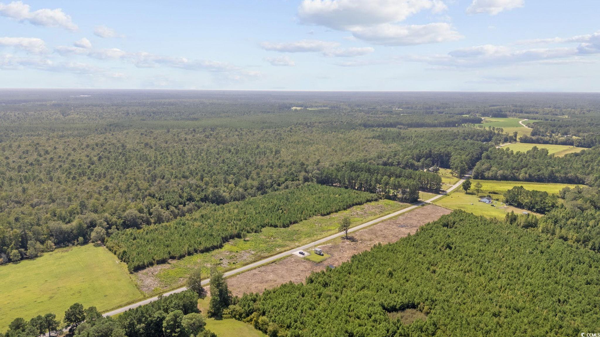 Lot 4 Black Creek Rd. Nichols, SC 29581