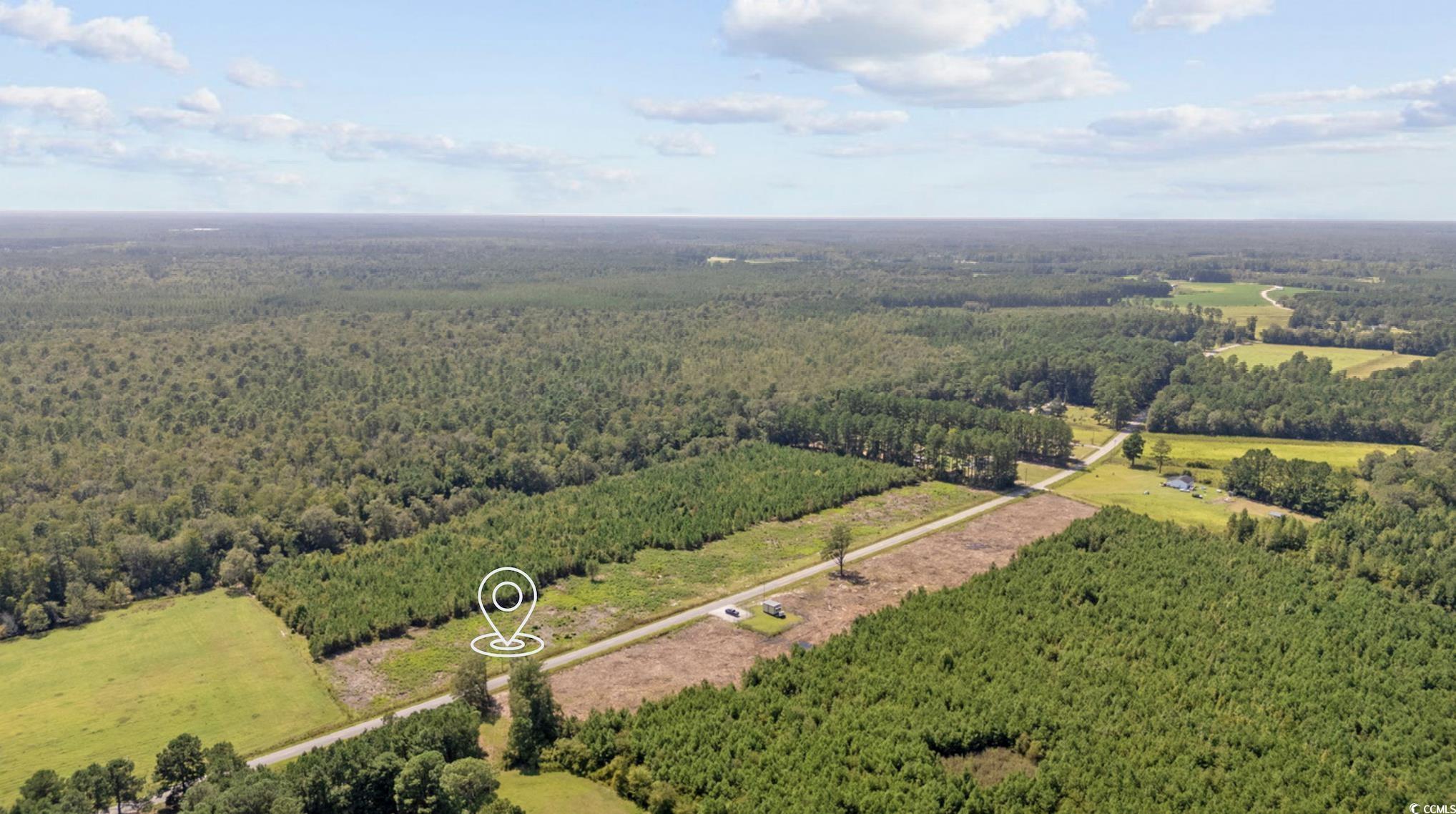 Lot 8 Black Creek Rd. Nichols, SC 29581