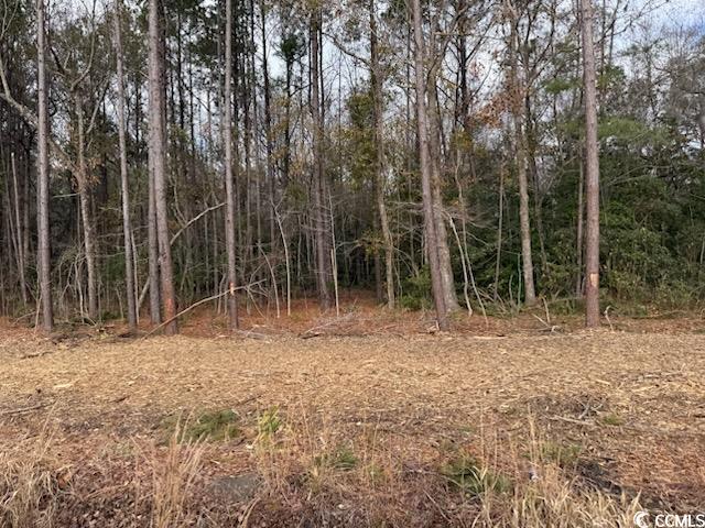5.47 Acs Kates Bay Hwy., Conway, South Carolina image 5