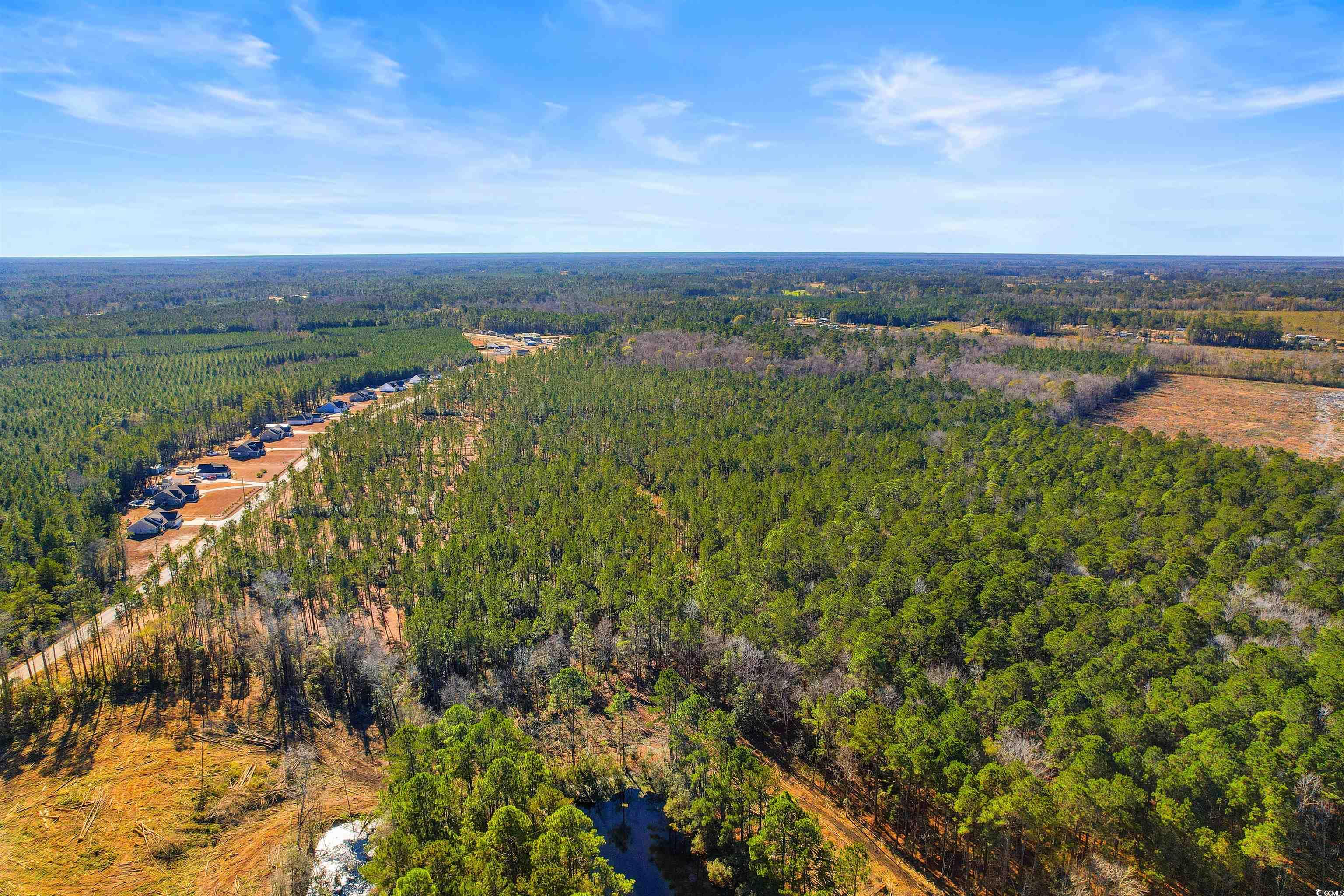 6.97 Acs Kates Bay Hwy., Conway, South Carolina image 9