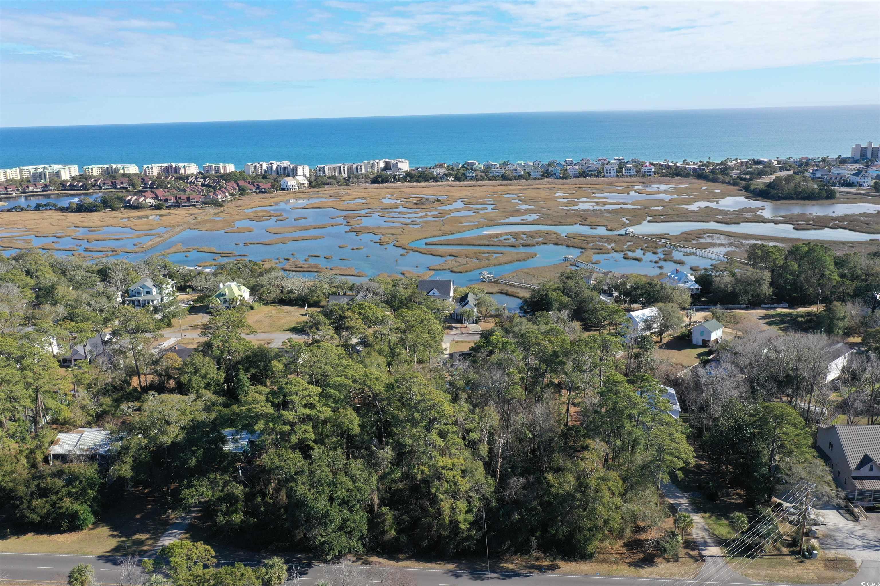 TBD Ocean Highway, Pawleys Island, South Carolina image 4