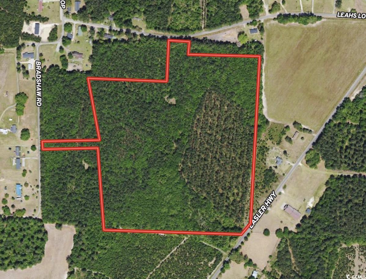 34 Acres - TBD Easler Hwy, Greeleyville, South Carolina image 17