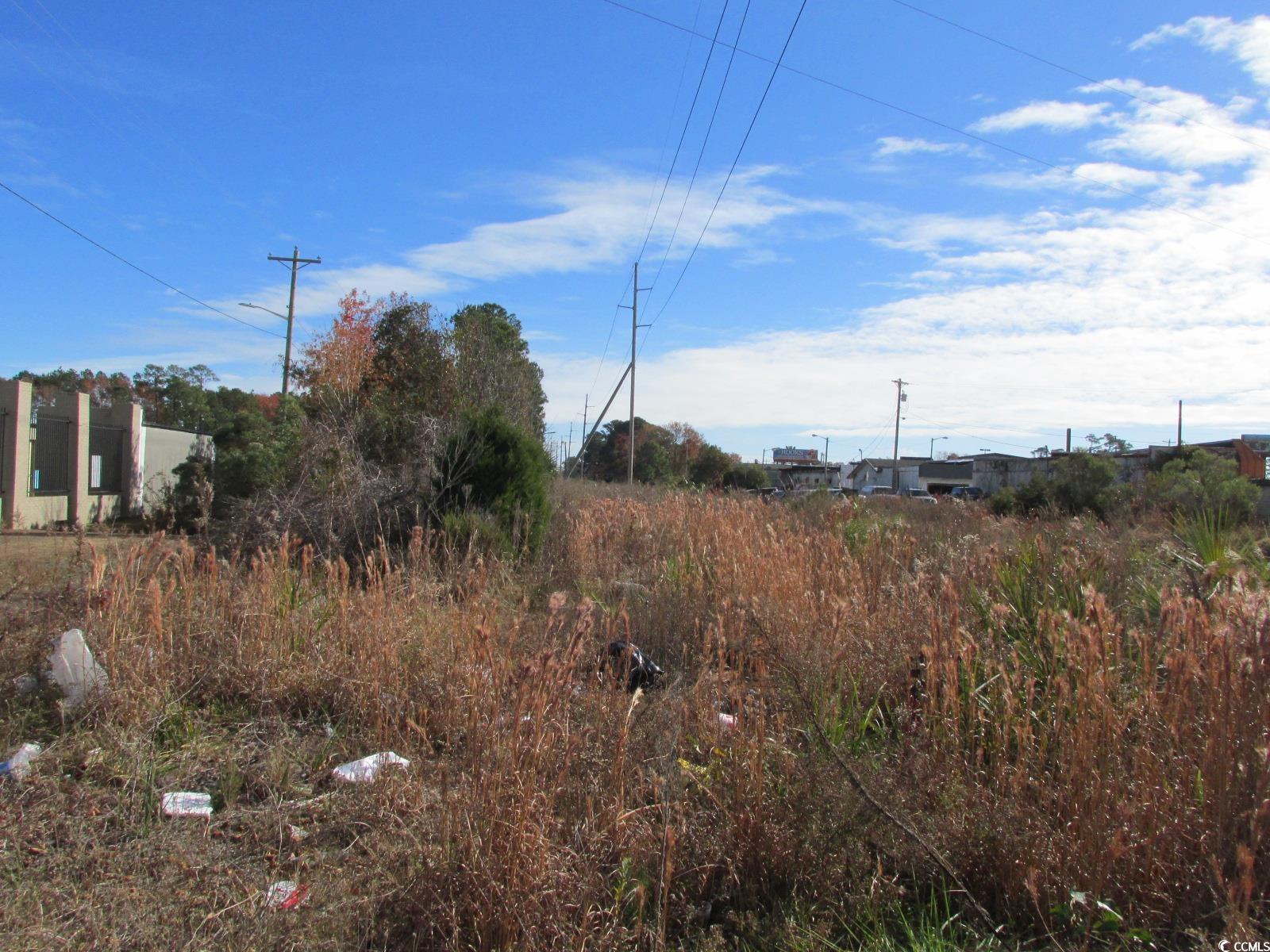 STRIP N Cannon Rd., Myrtle Beach, South Carolina image 11