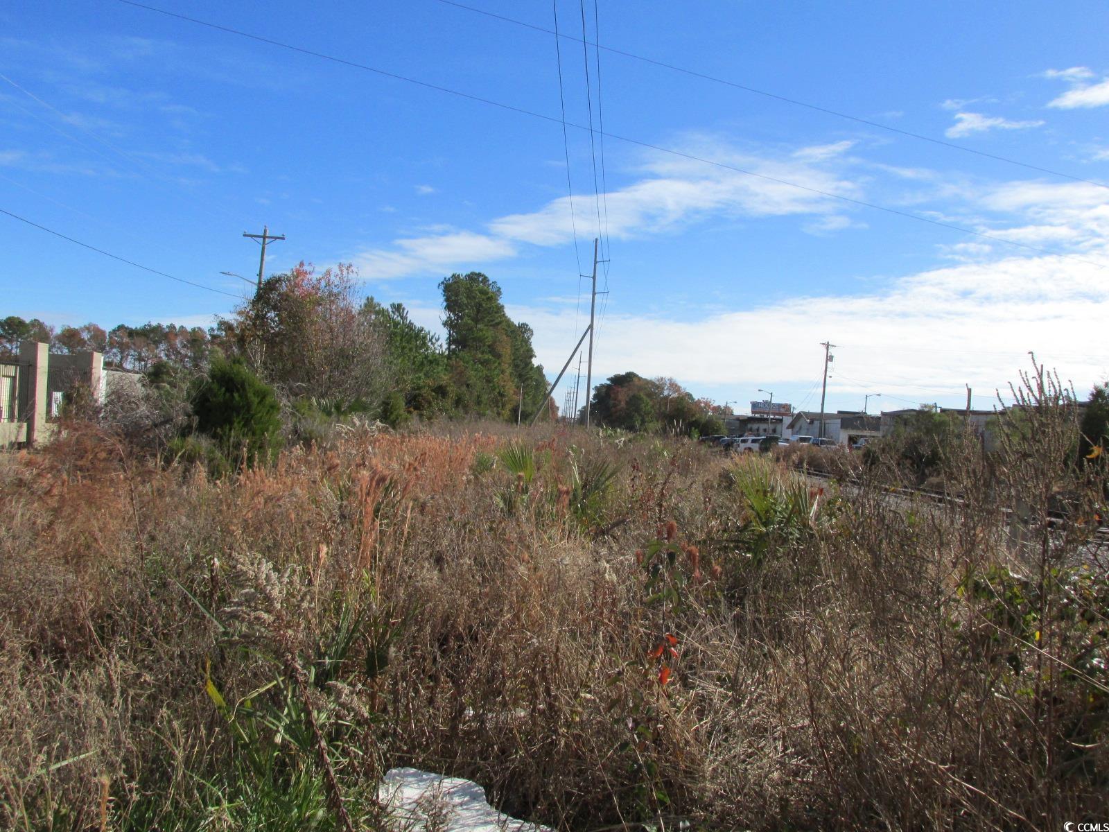 STRIP N Cannon Rd., Myrtle Beach, South Carolina image 7