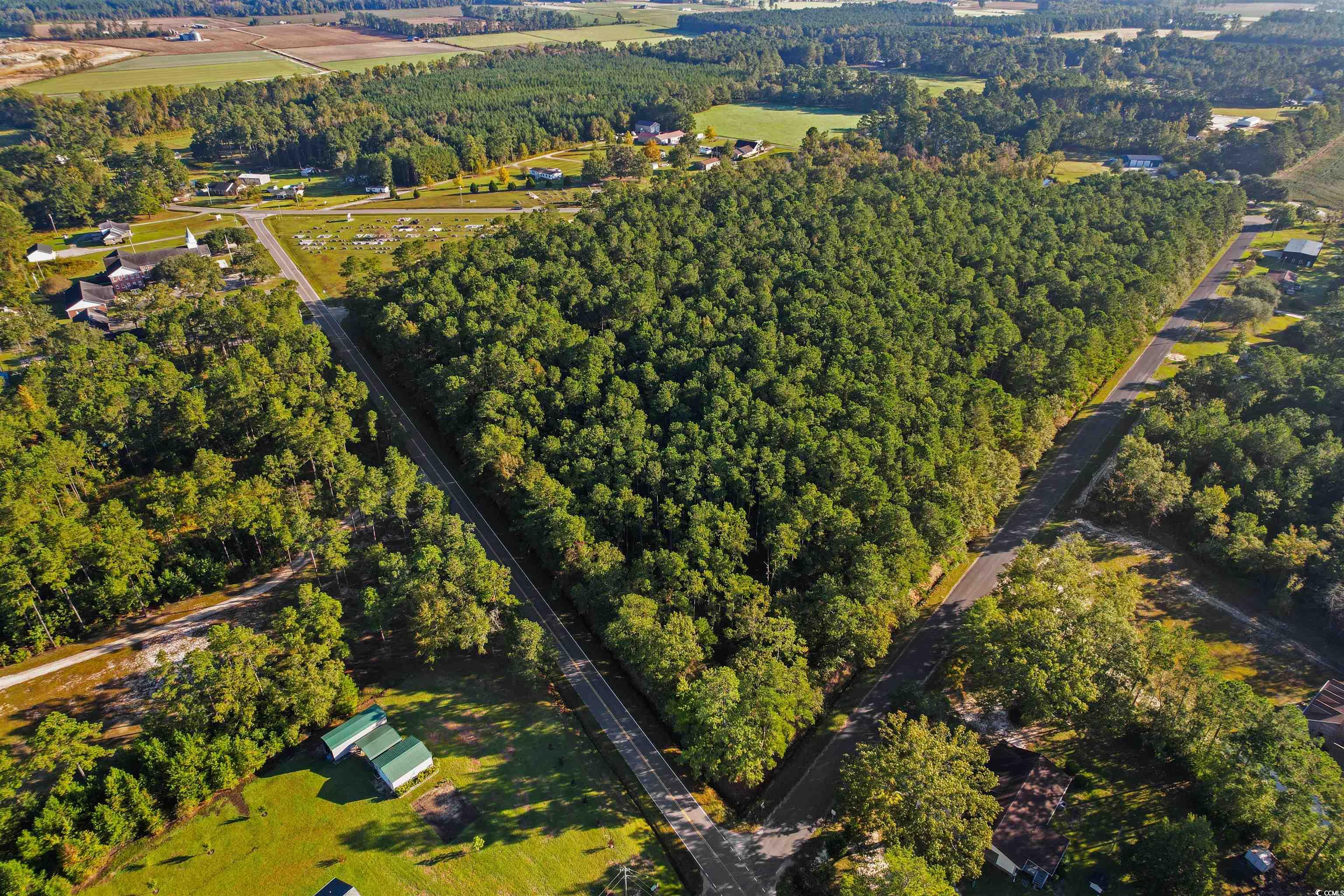 TBD Highway 319, Aynor, South Carolina image 6