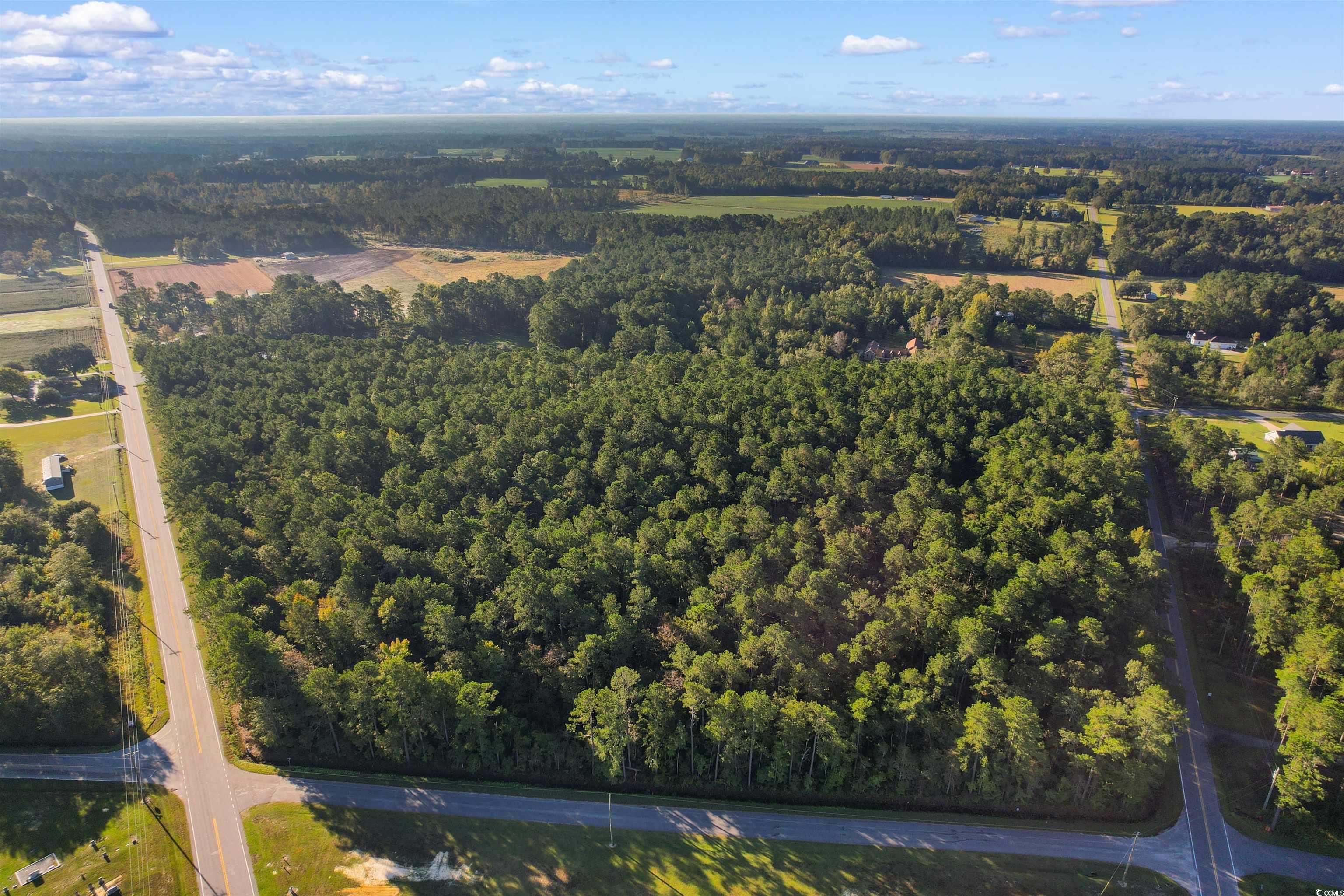 TBD Highway 319, Aynor, South Carolina image 7