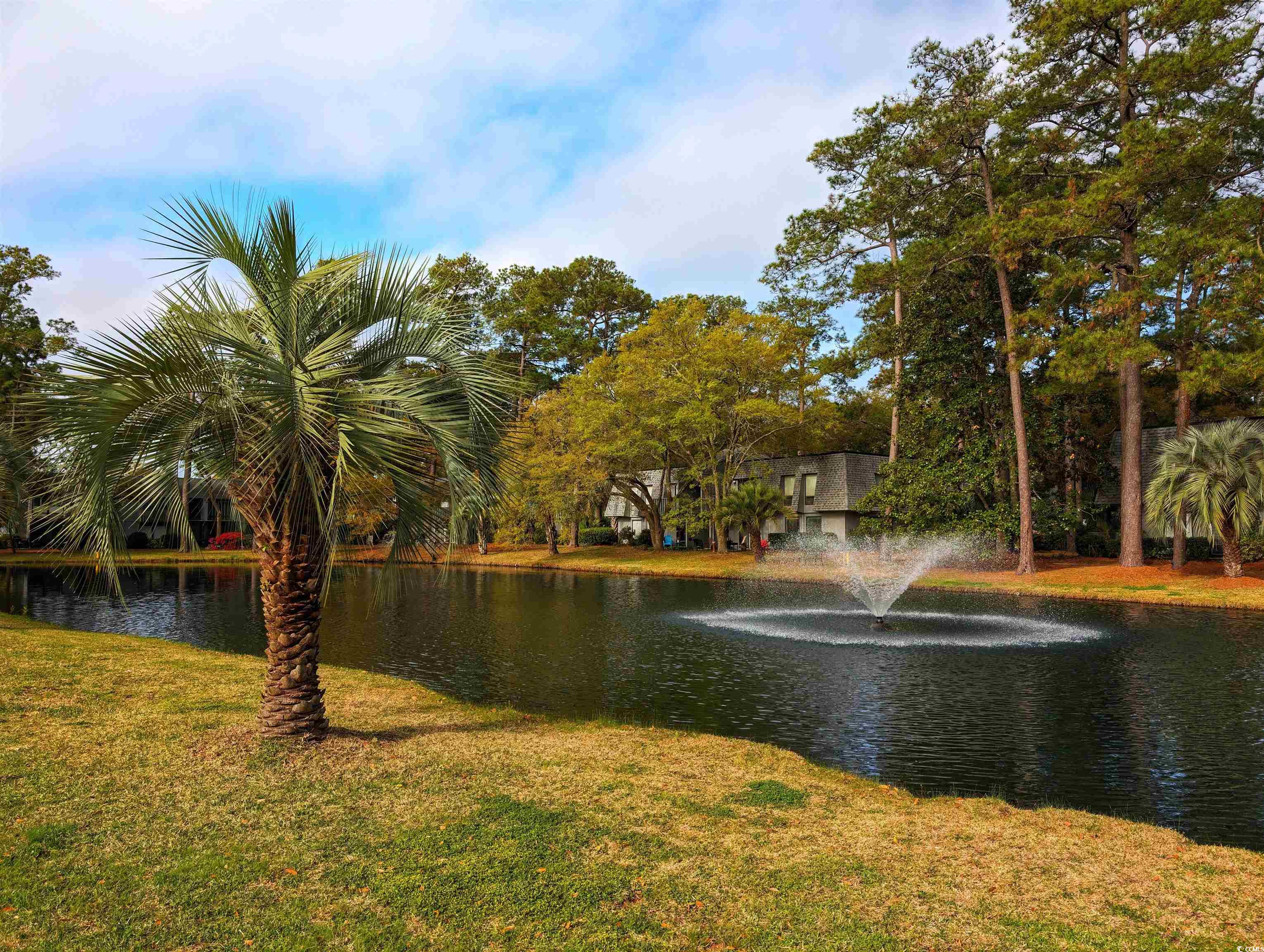 88 Salt Marsh Circle #22H, Pawleys Island, South Carolina image 33