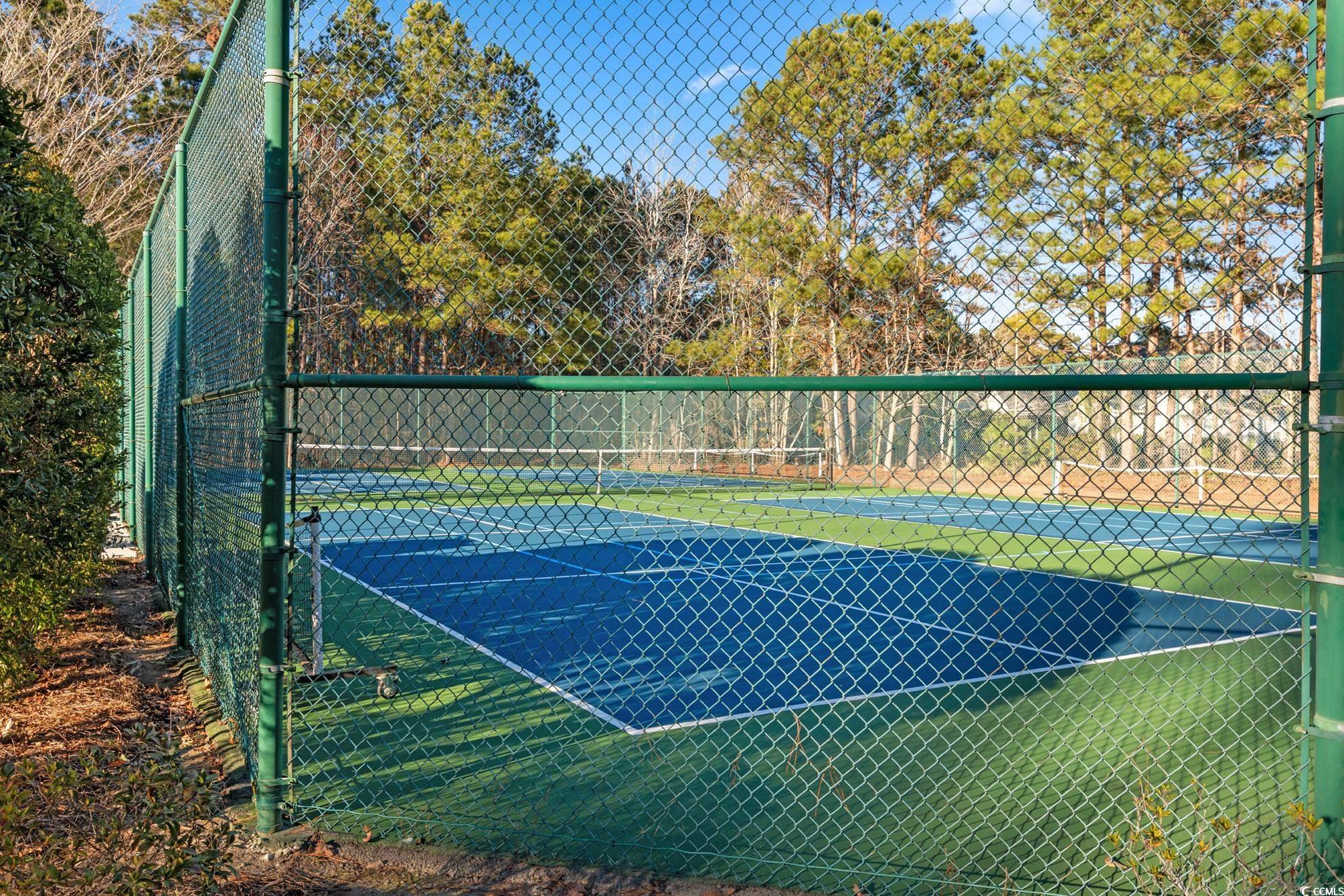 29 Saltwind Loop, Murrells Inlet, South Carolina image 39