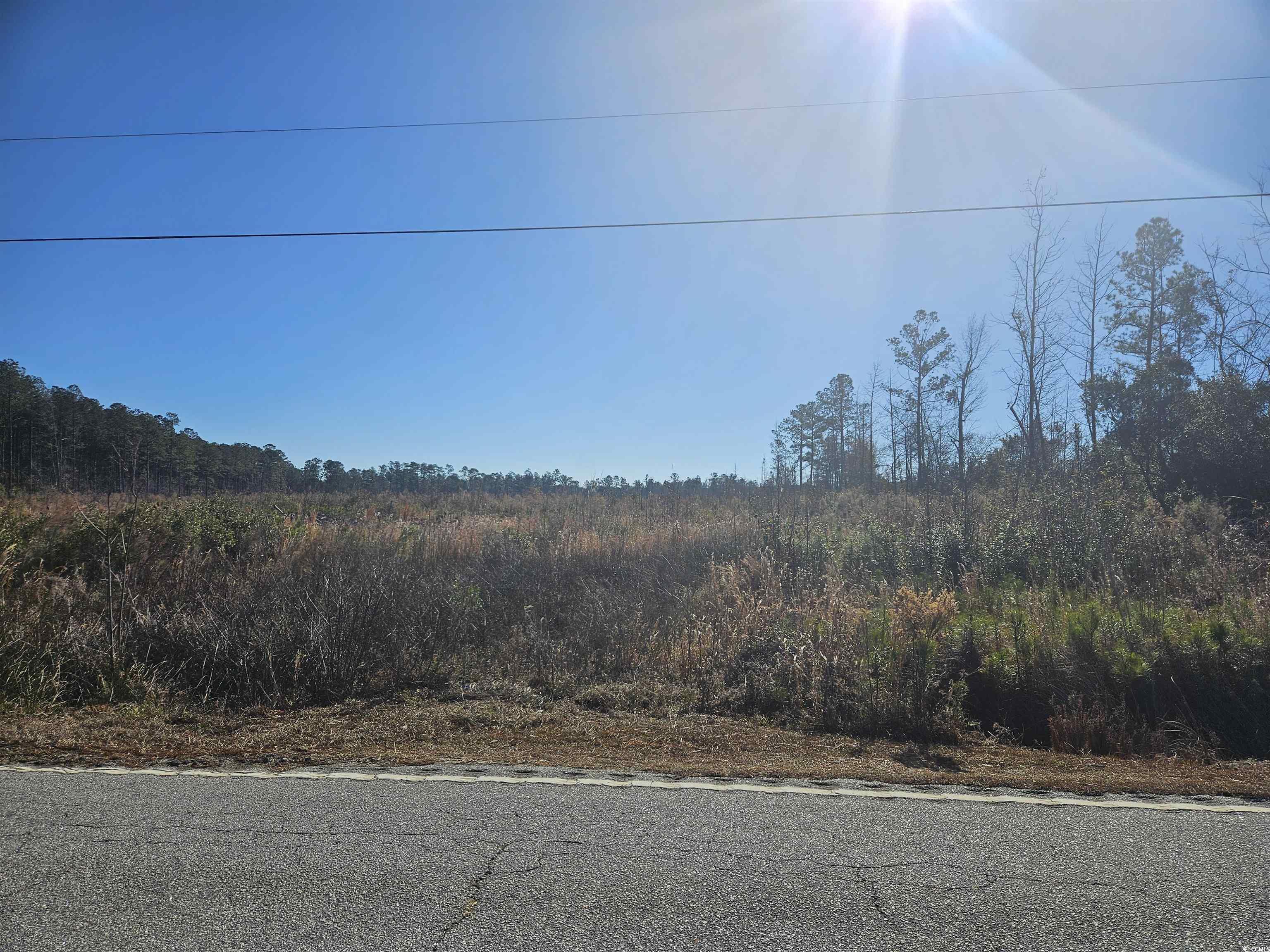 27ac Highway 541, Olanta, South Carolina image 1