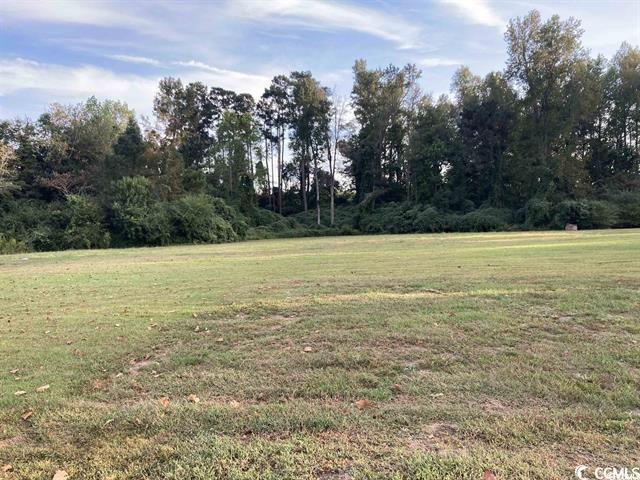 TBD E County Line Rd. Hemingway, SC 29554