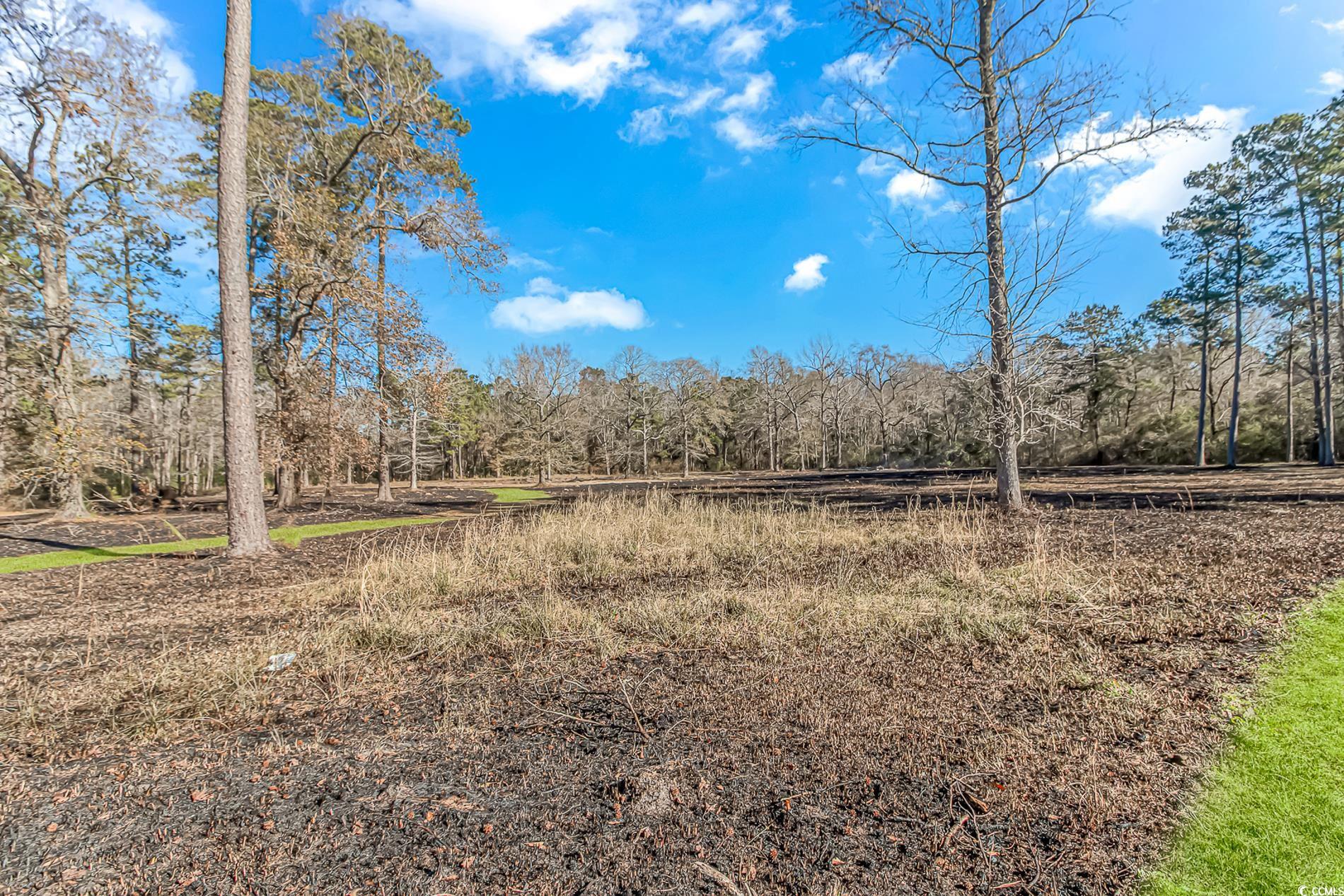 4106 Edwards Rd., Aynor, South Carolina image 33