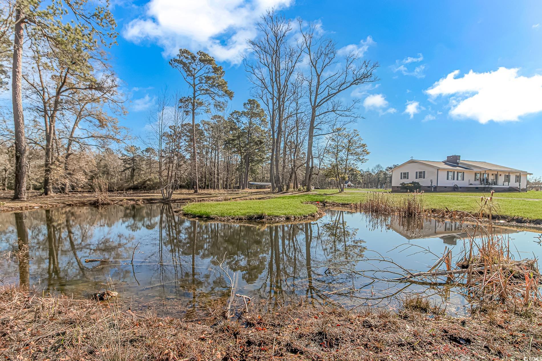 4106 Edwards Rd., Aynor, South Carolina image 34