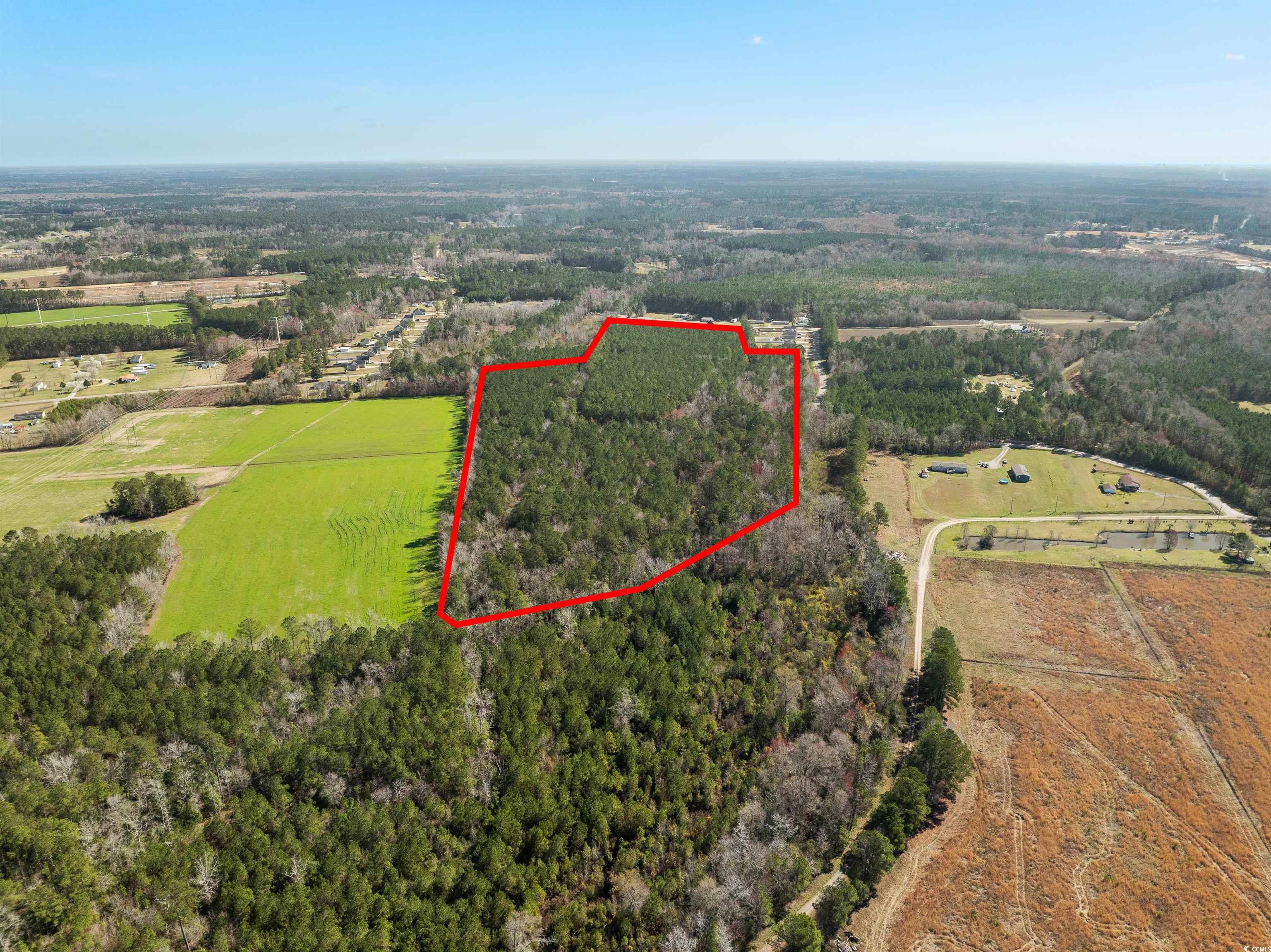 TBD - Lot 2 Daphane Dr., Loris, South Carolina image 10