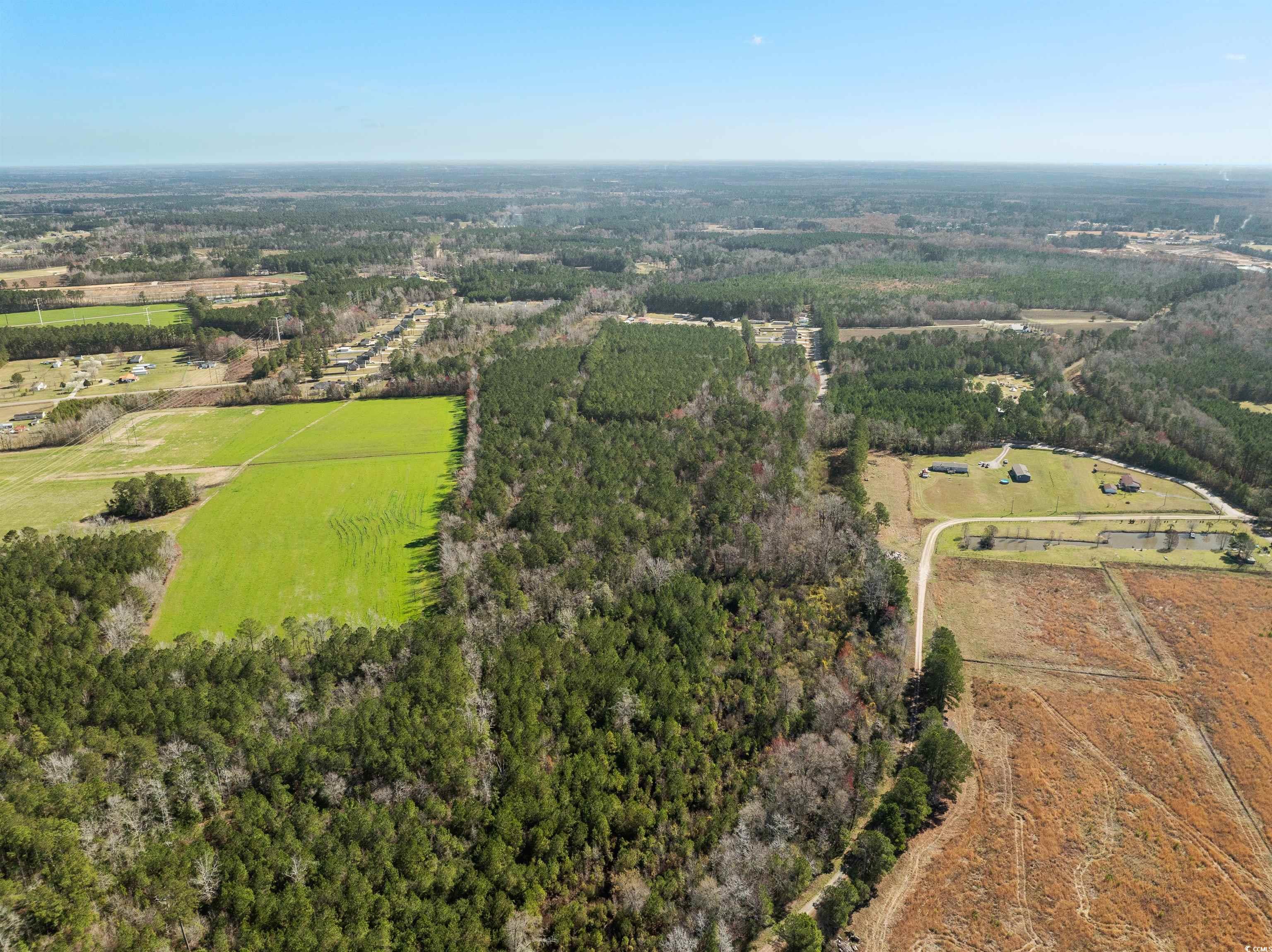 TBD - Lot 2 Daphane Dr., Loris, South Carolina image 11