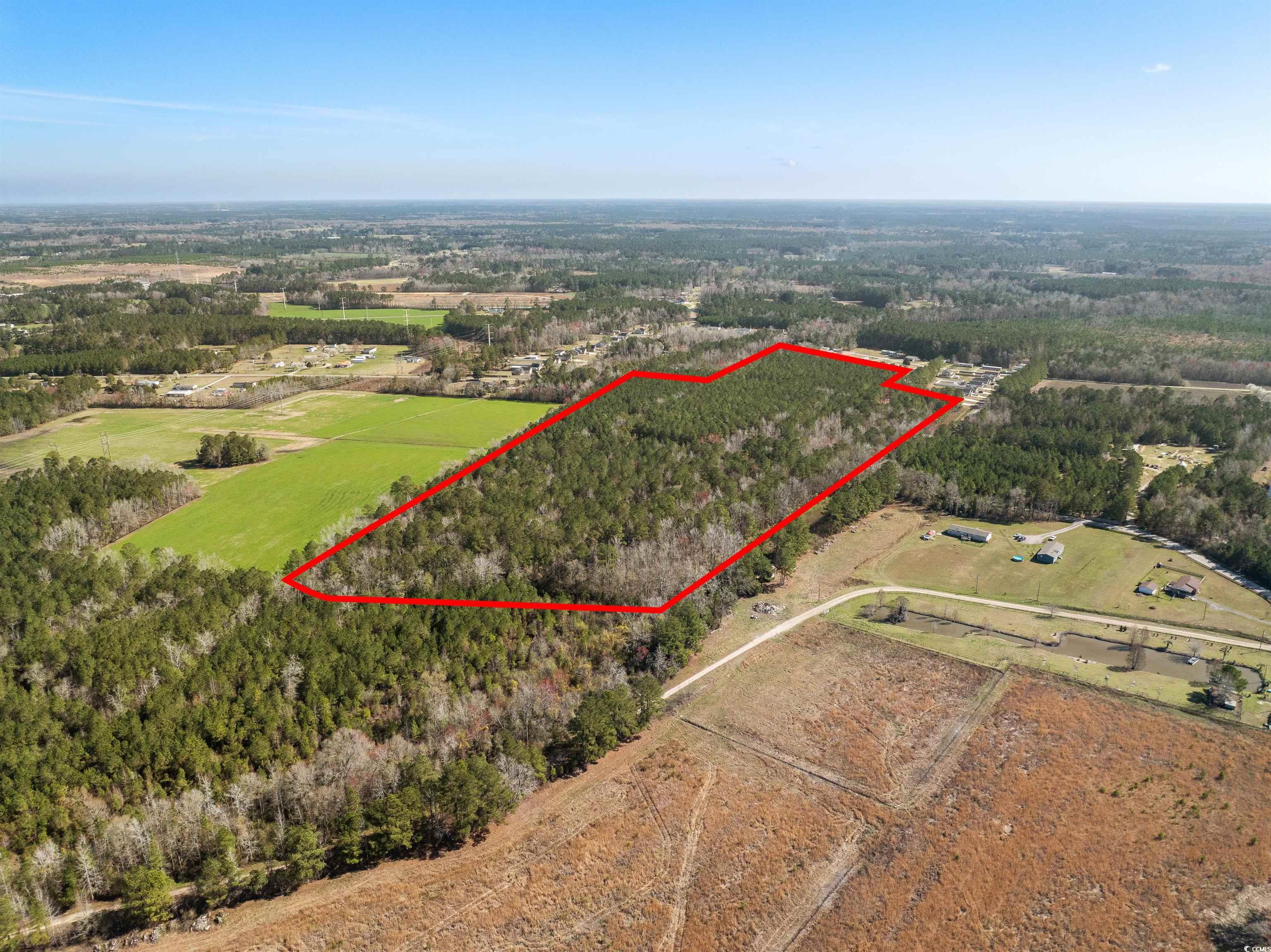 TBD - Lot 2 Daphane Dr., Loris, South Carolina image 12