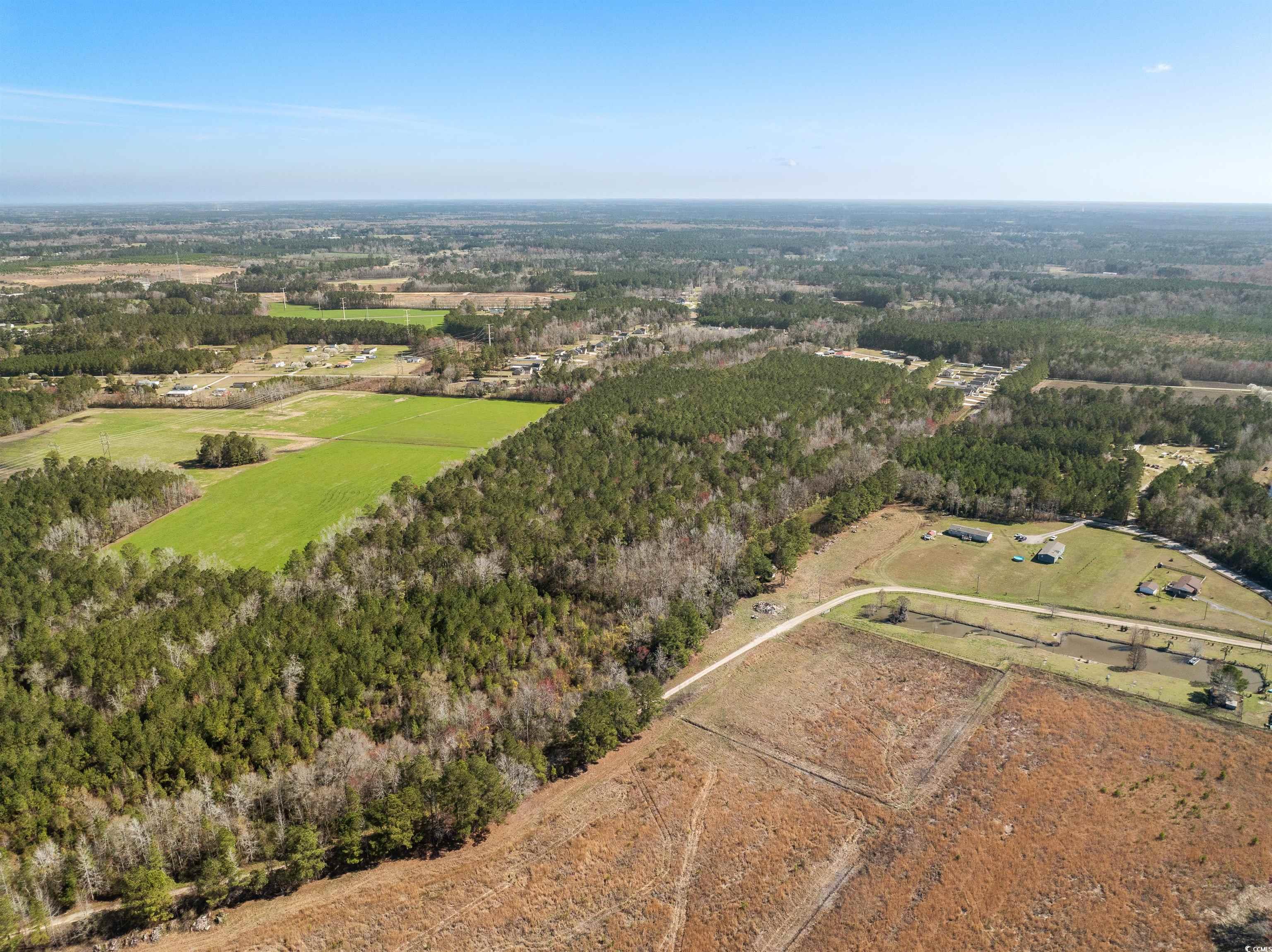 TBD - Lot 2 Daphane Dr., Loris, South Carolina image 13