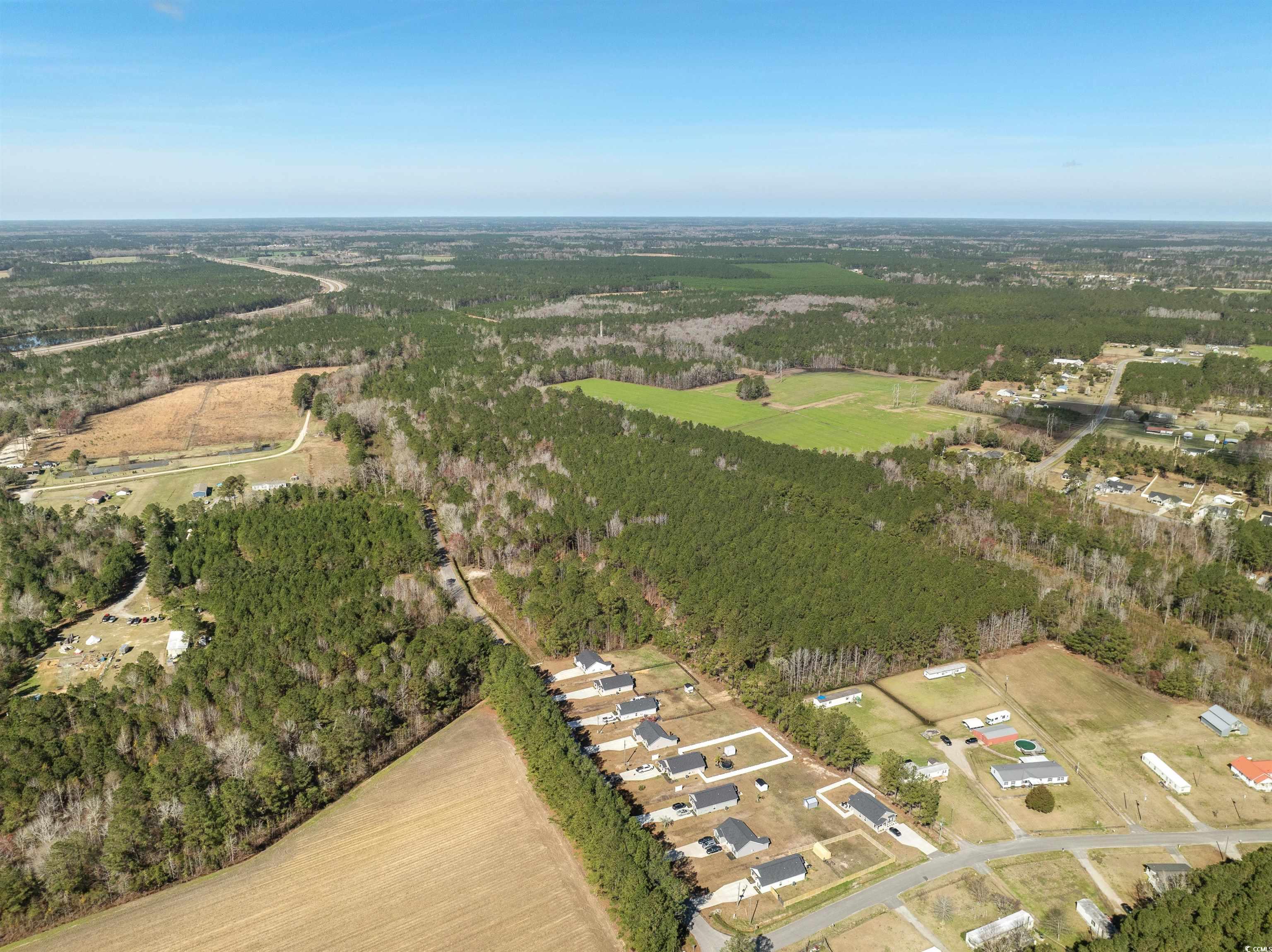 TBD - Lot 2 Daphane Dr., Loris, South Carolina image 19