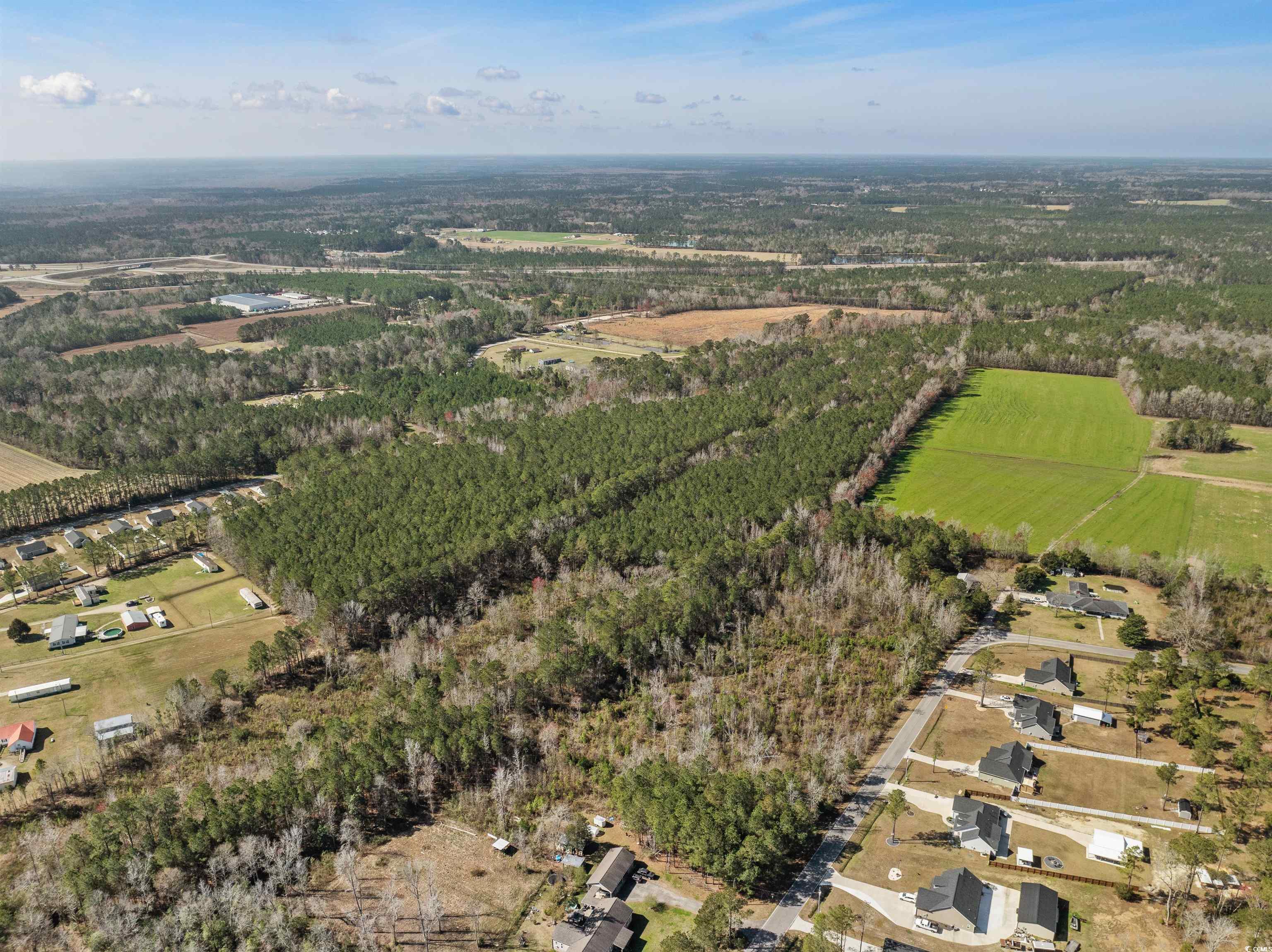 TBD - Lot 2 Daphane Dr., Loris, South Carolina image 23